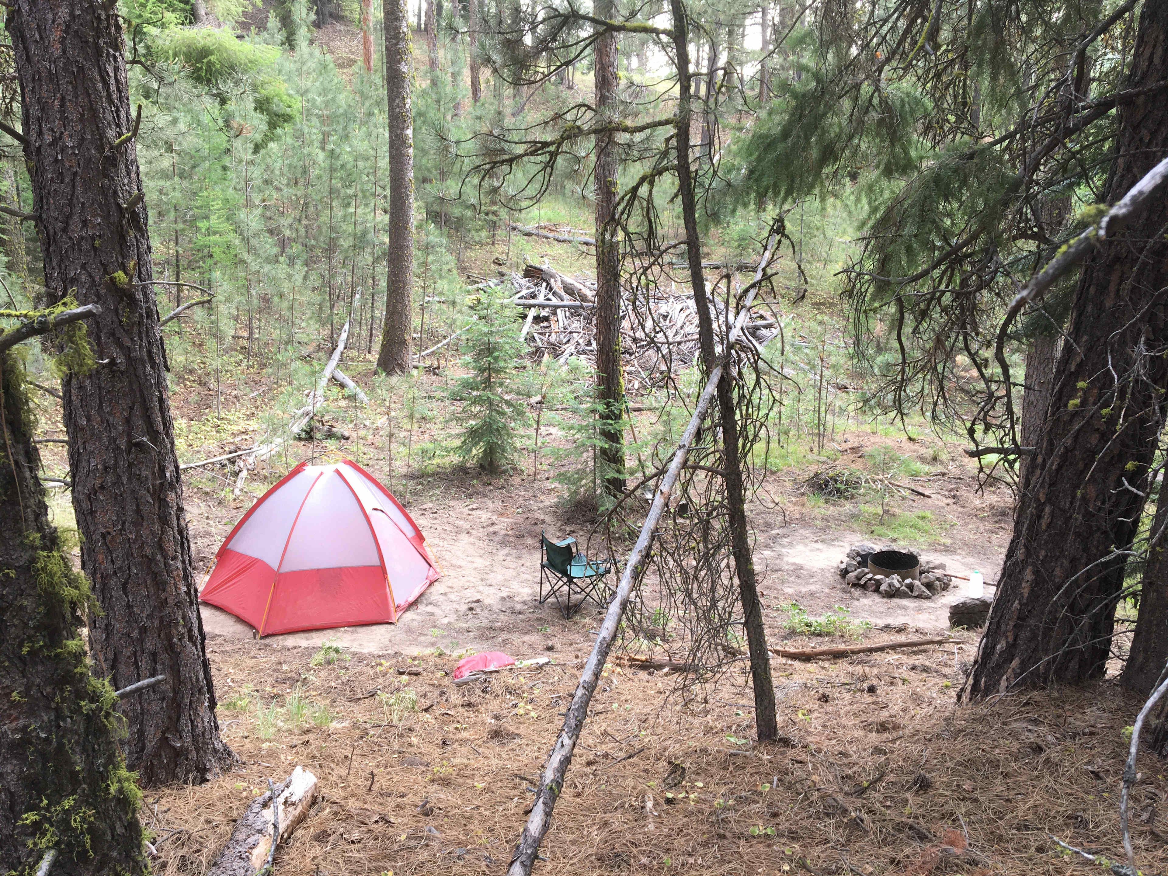 Picture of the site