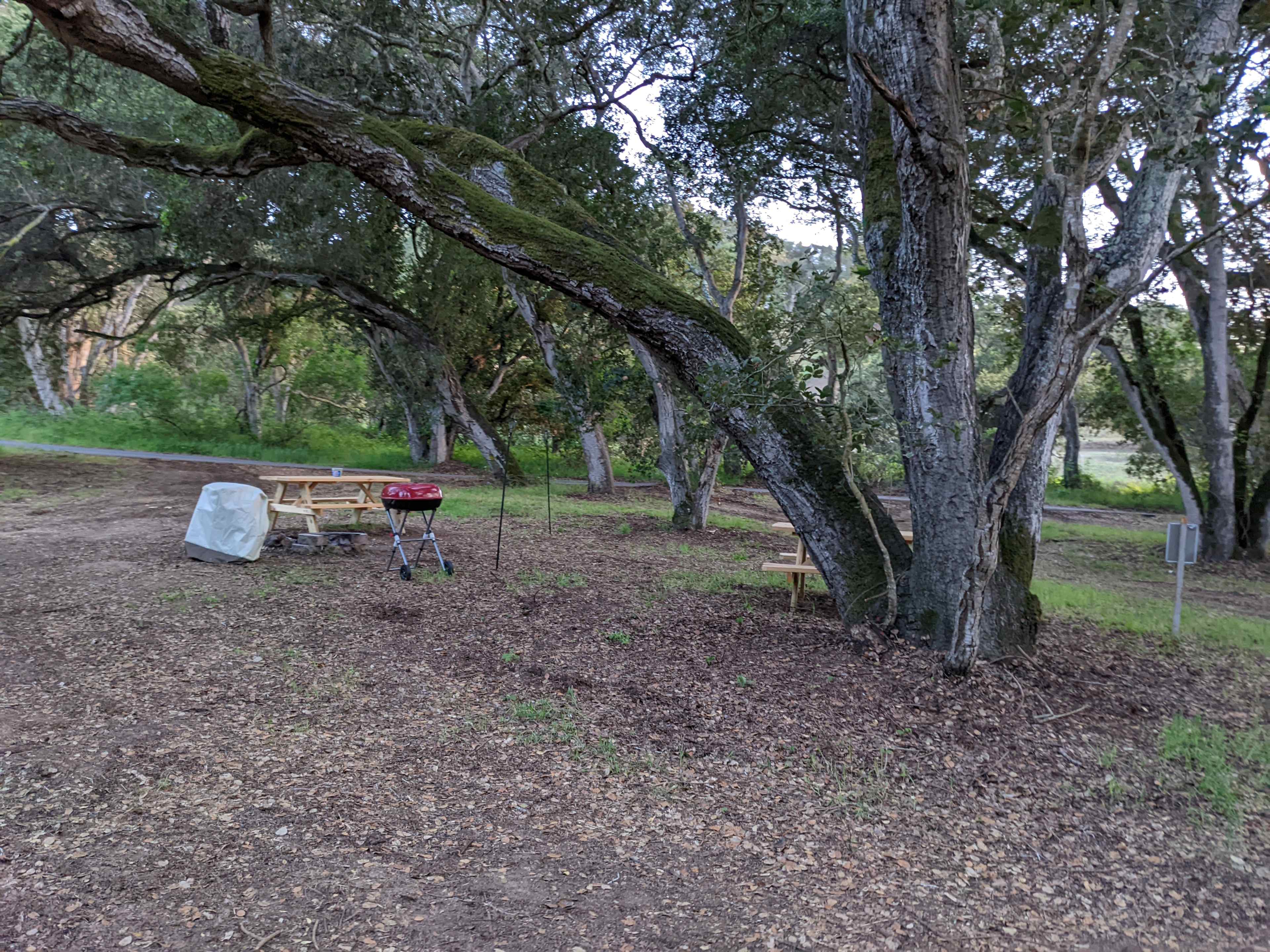 Picture of the site