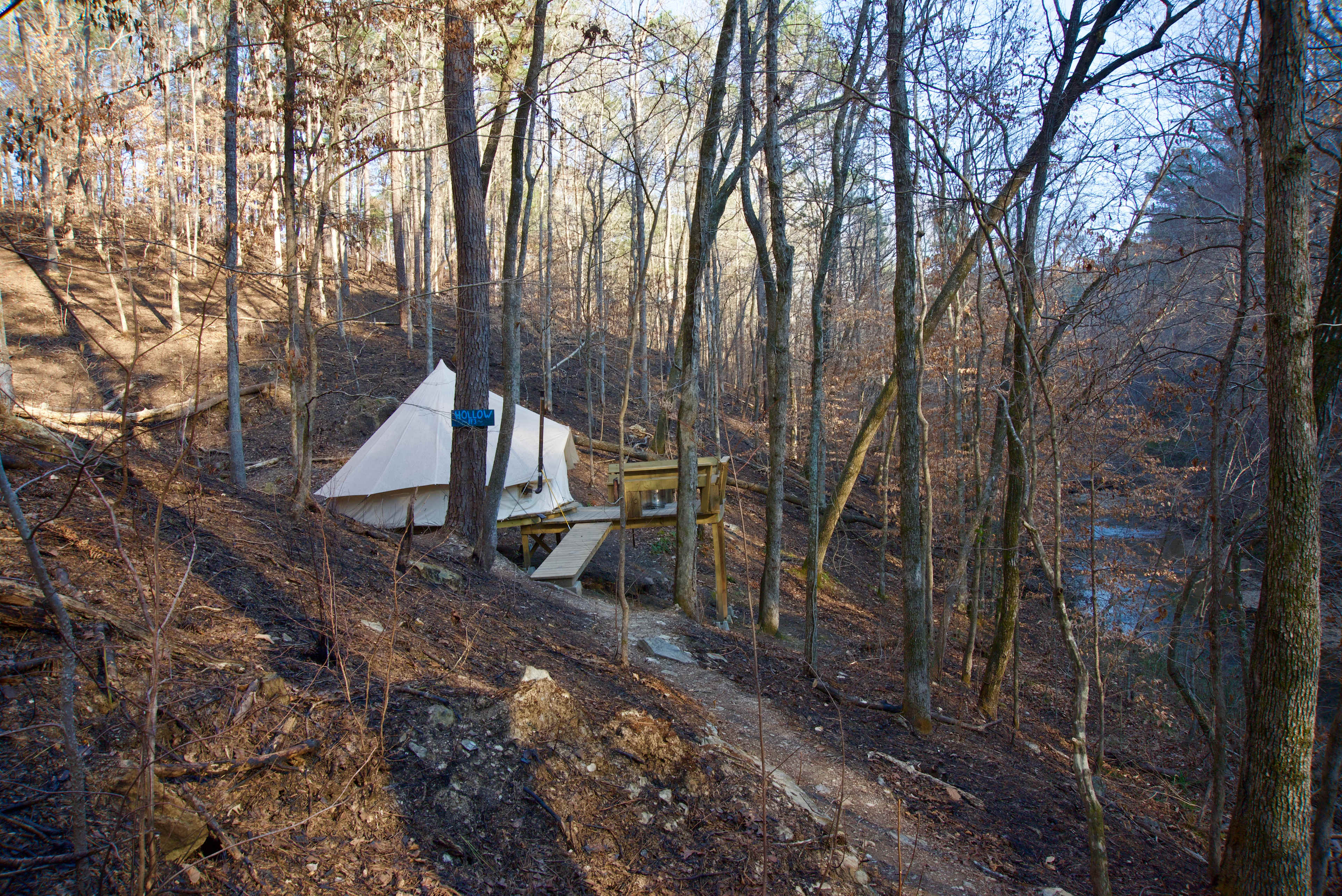 Picture of the site