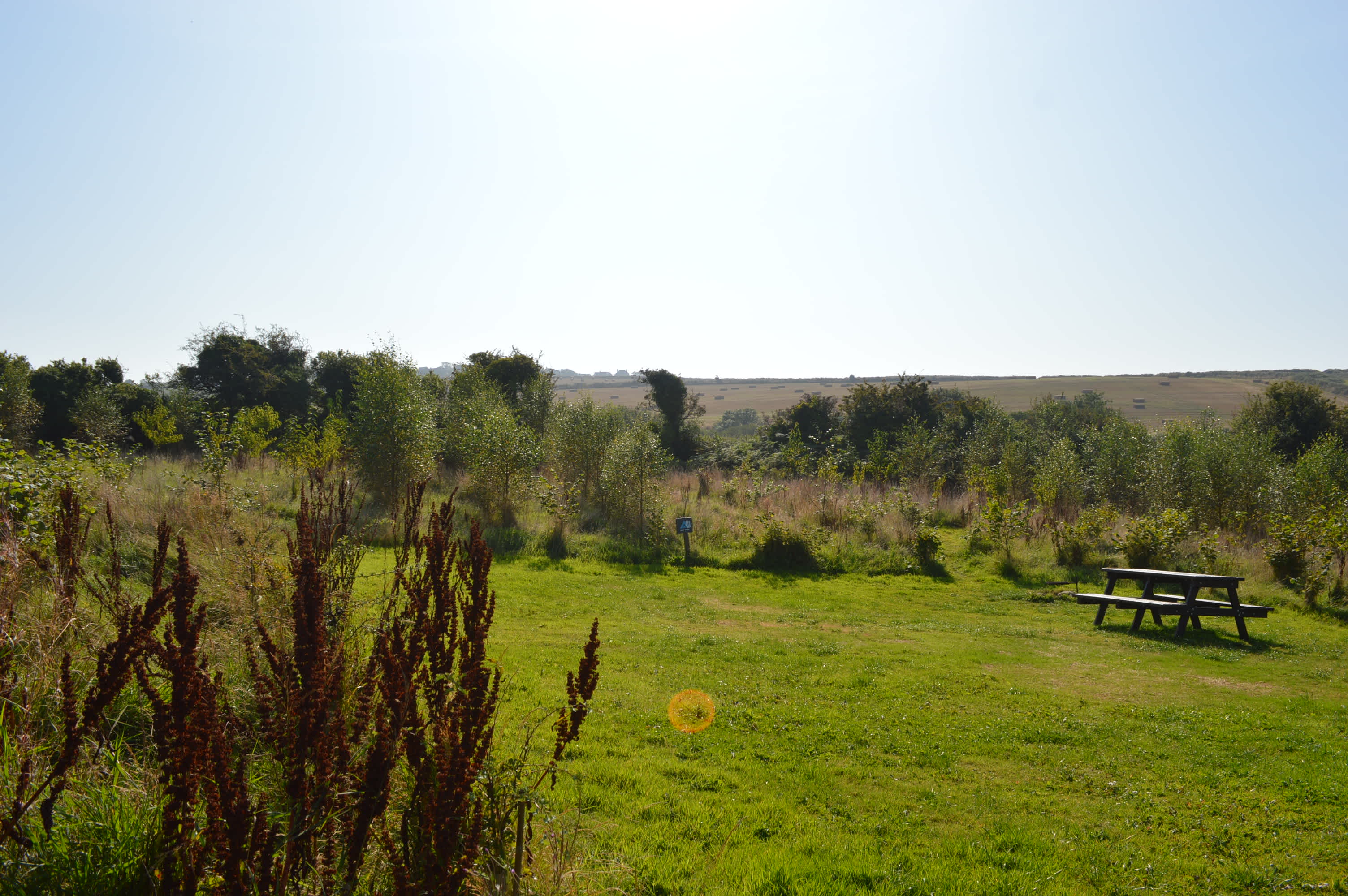 Picture of the site