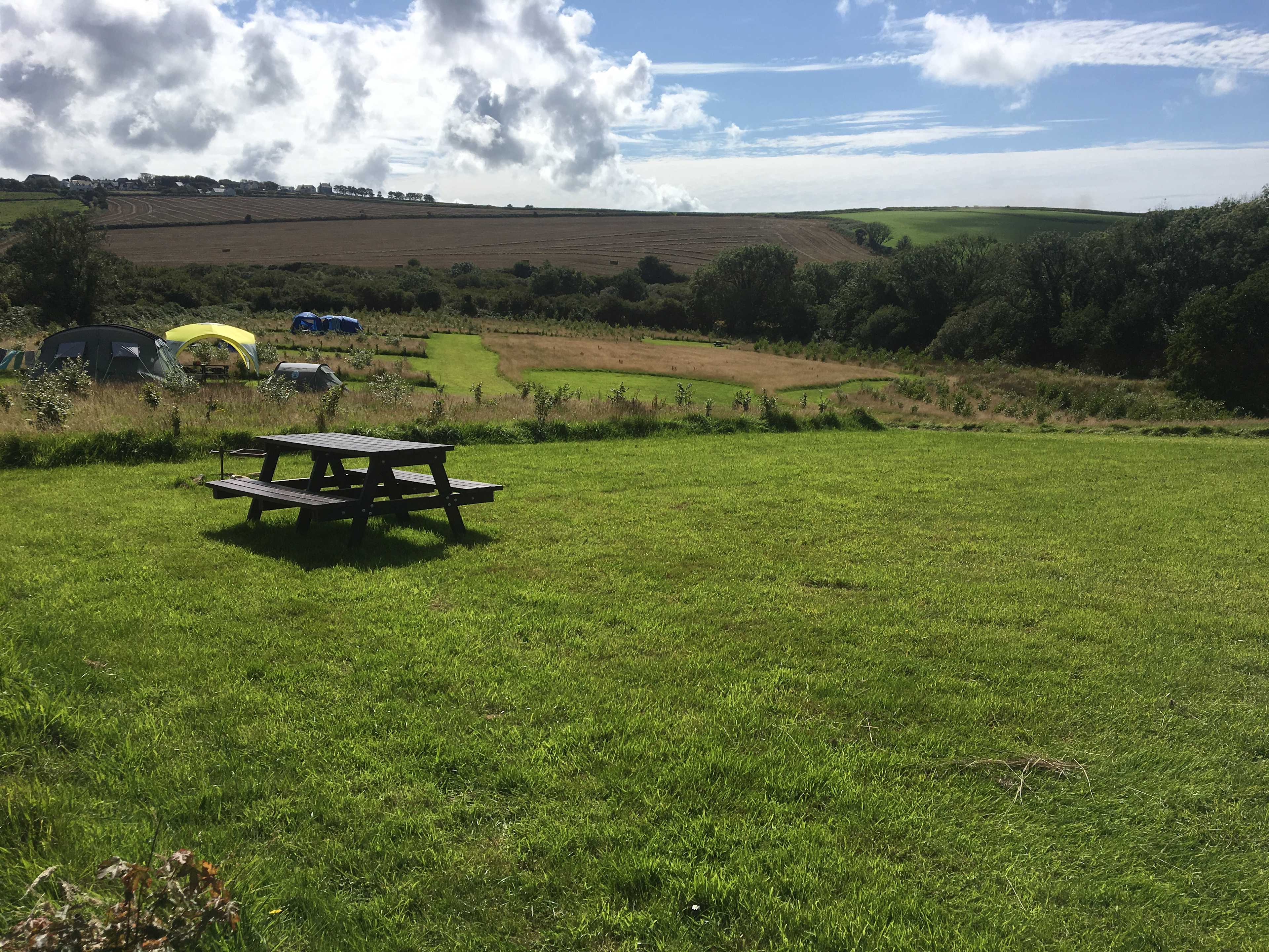 Preseli Glamping woodland camping