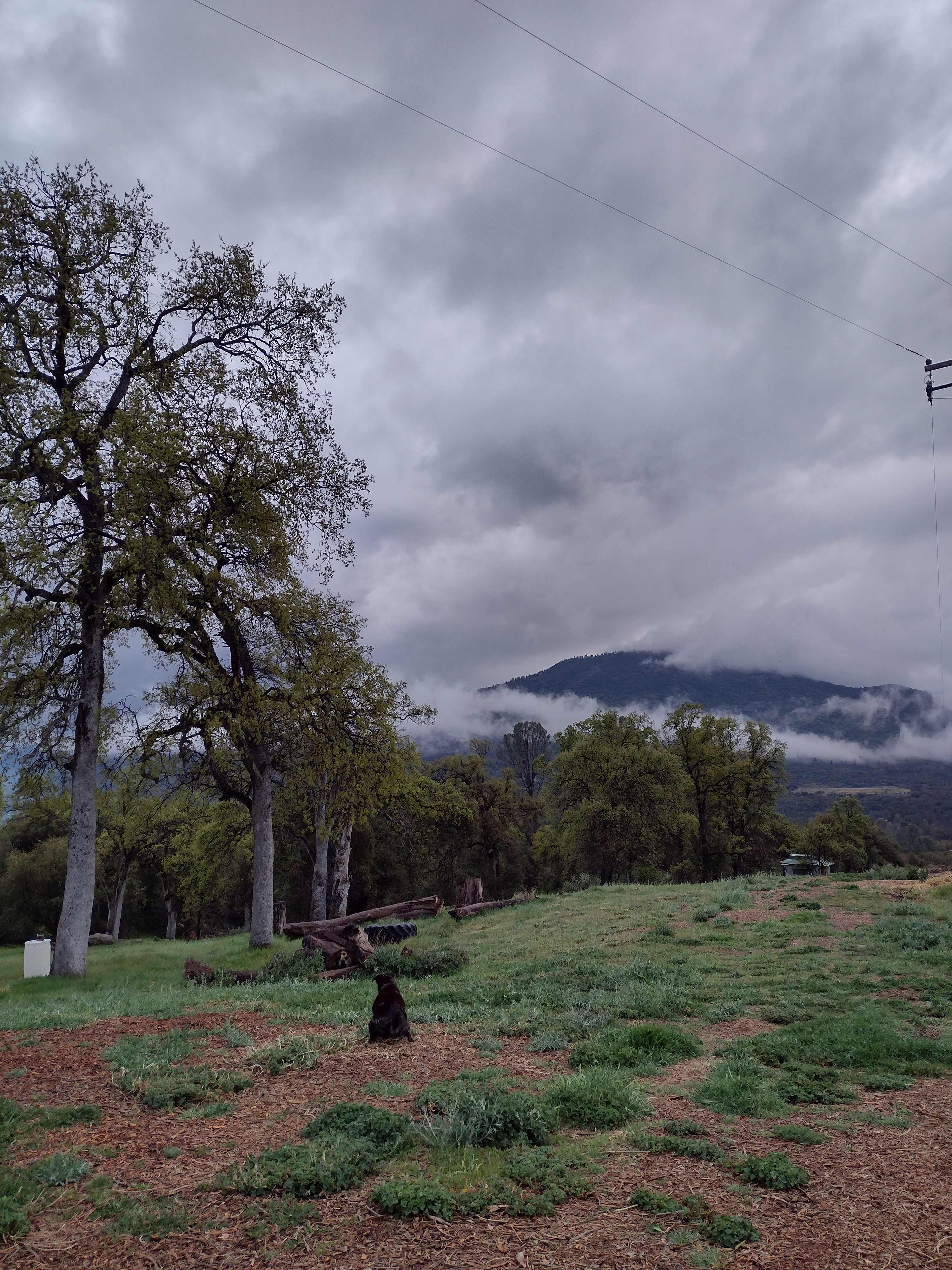 After spring rains, the mornings often give rise to mist and low, drifting clouds.