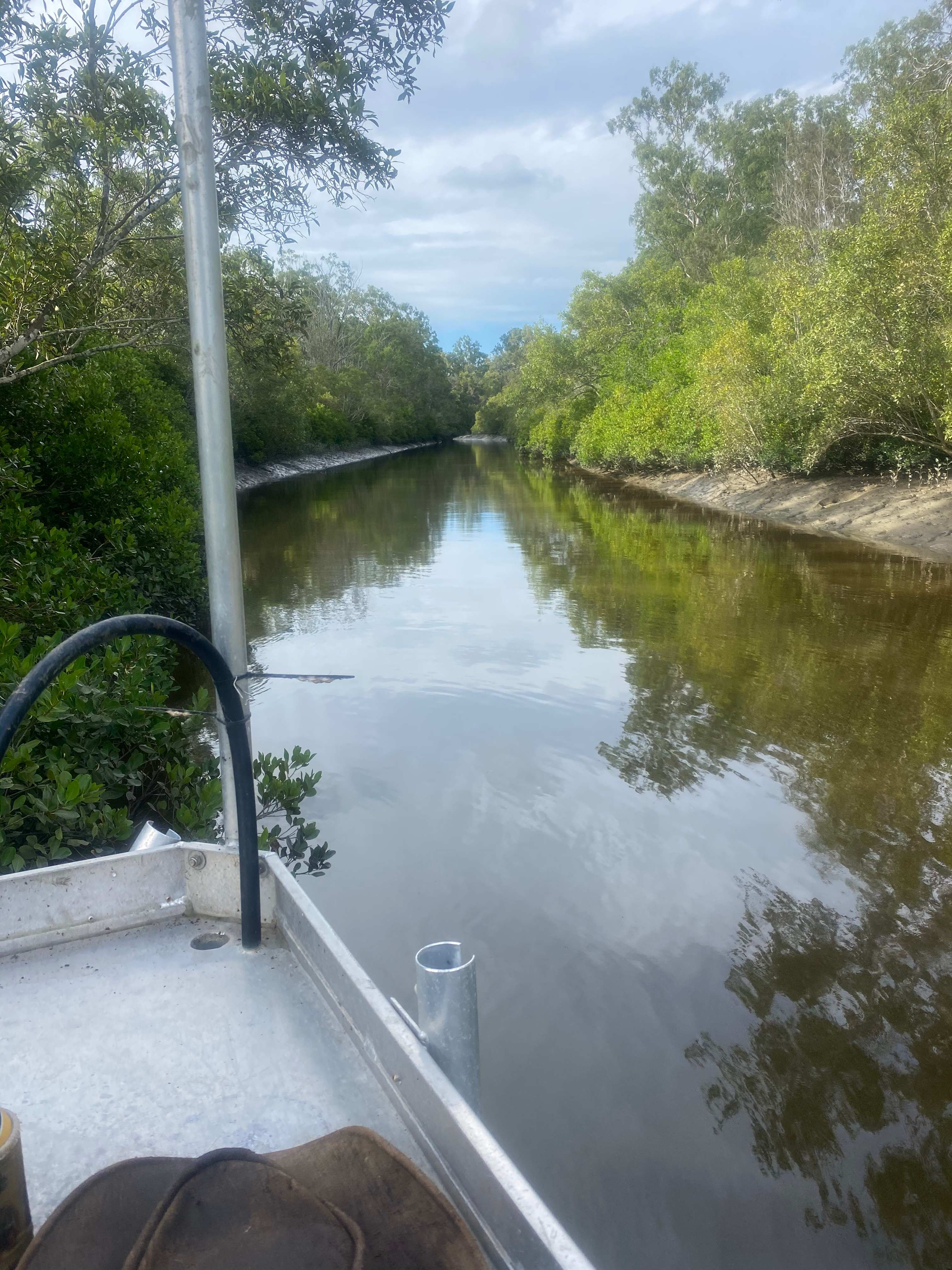 Beelbi Creek 
