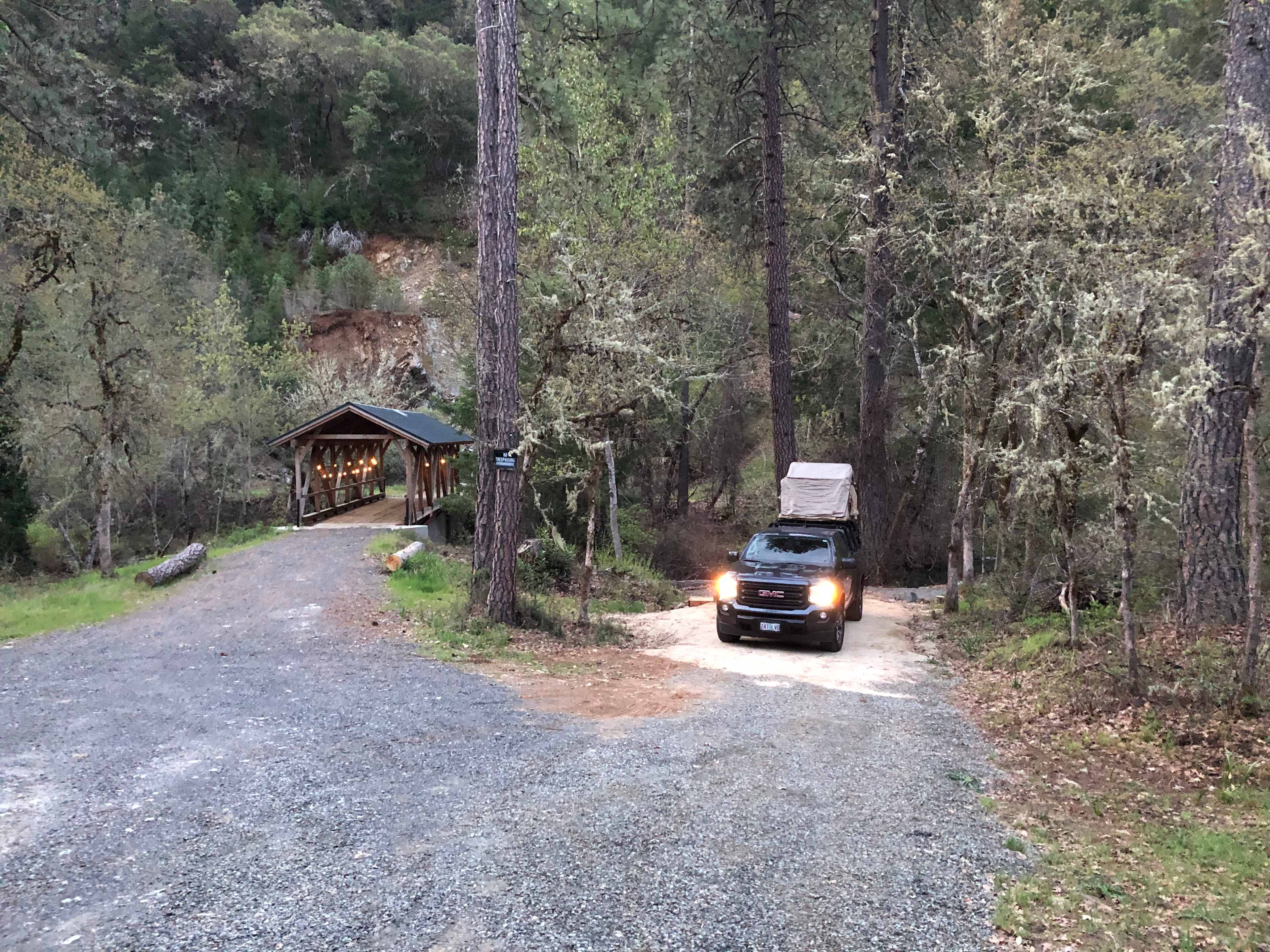 Forested creekside campsite
