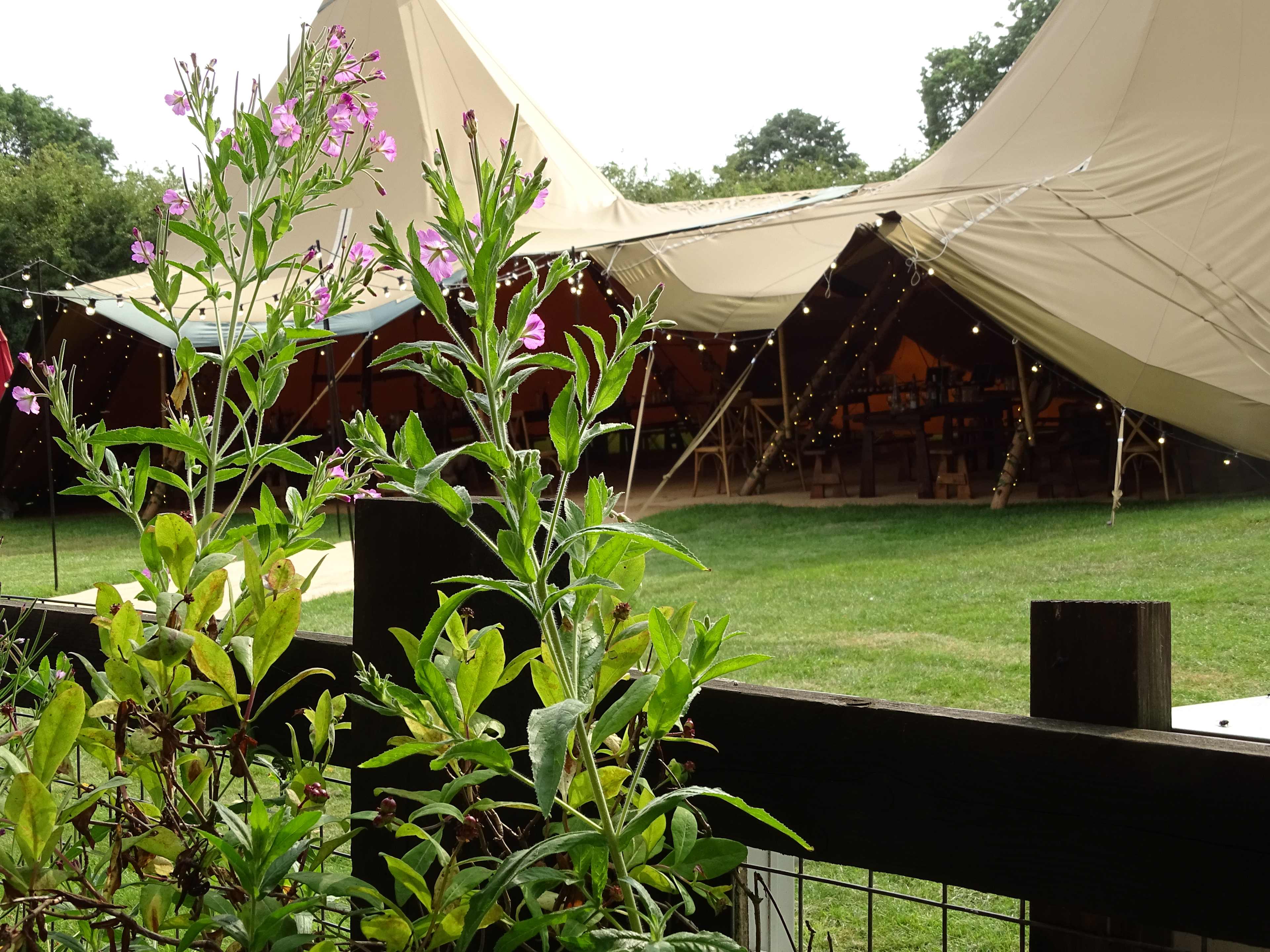 Our tipi