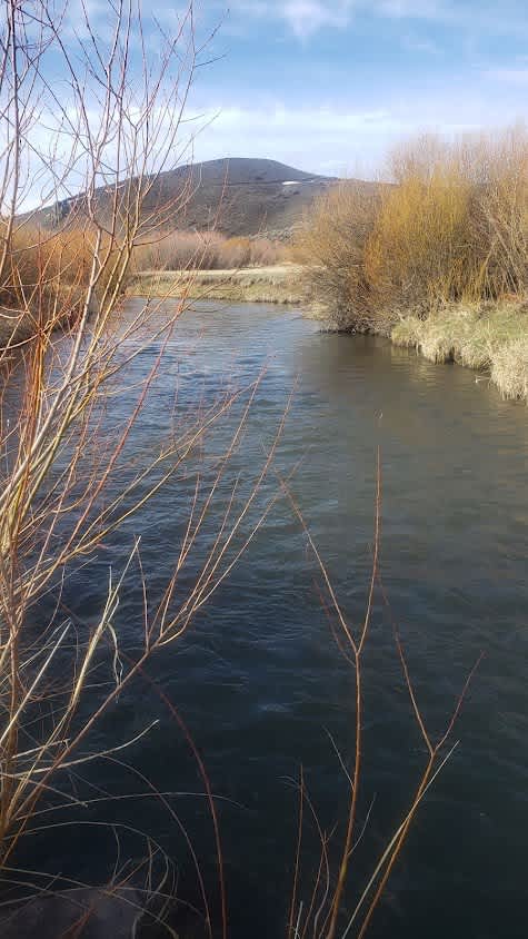 Mtn City Fishing Hunting camping