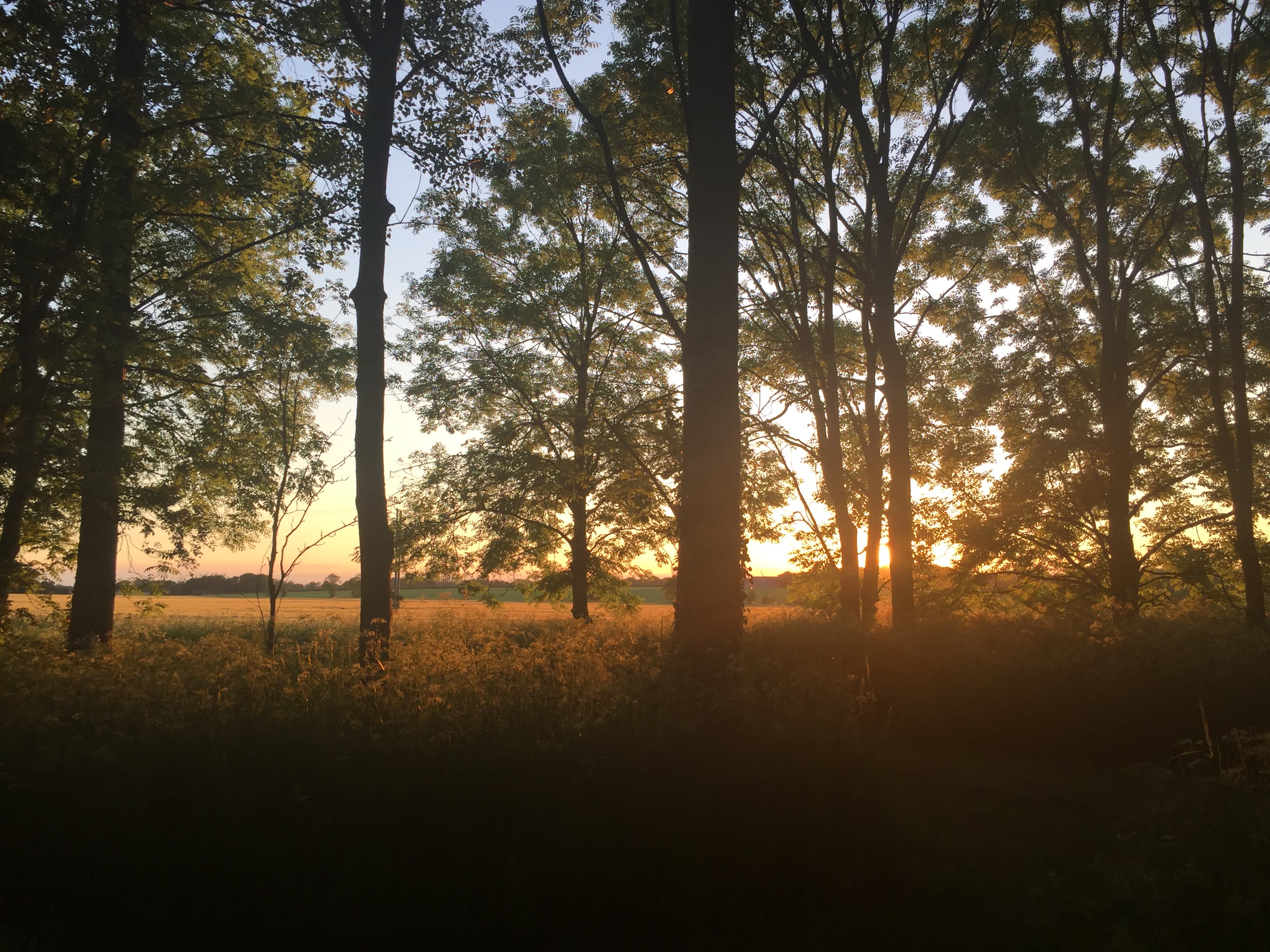 Sunnyside Campsite
