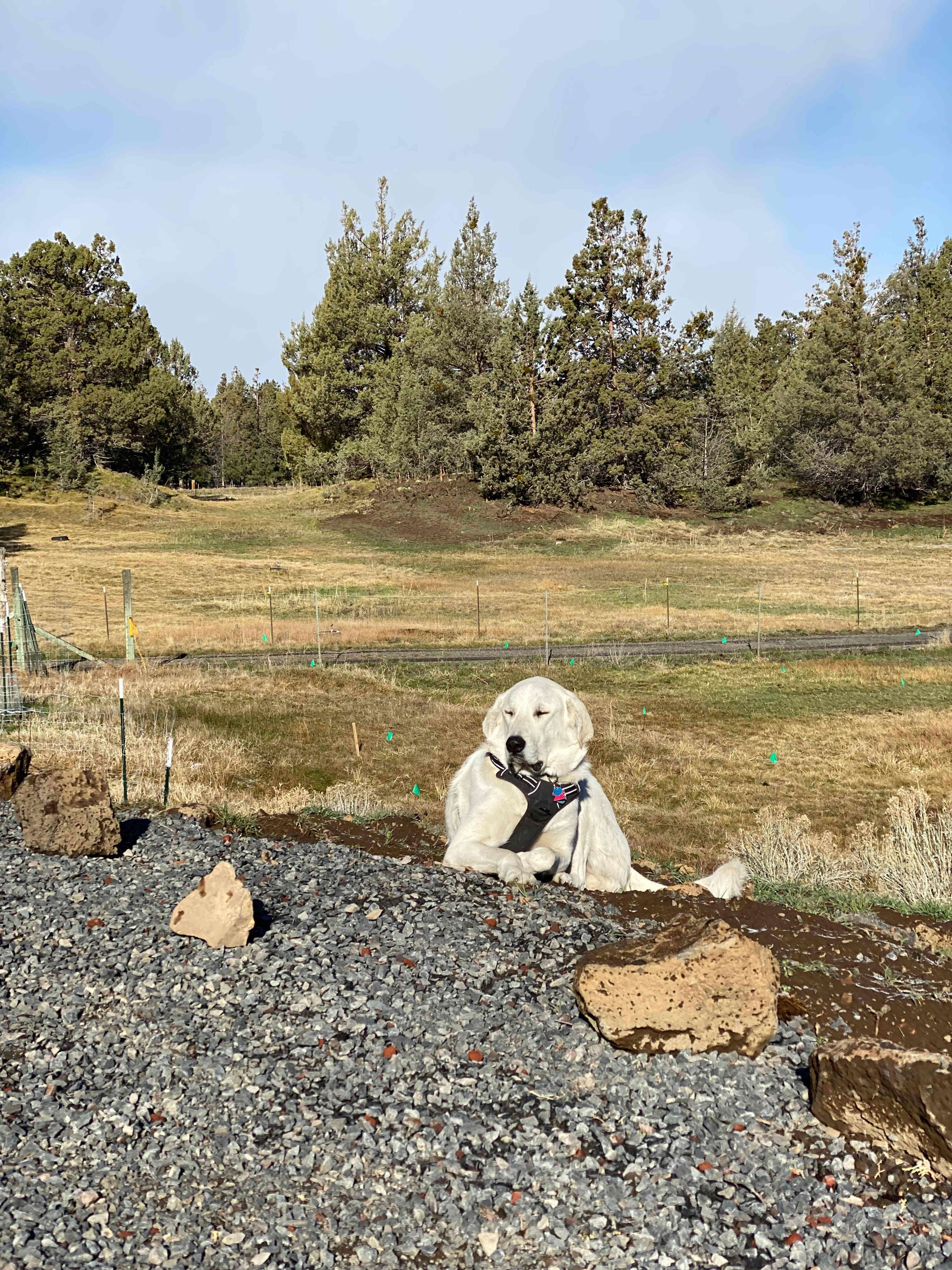 Golden Triangle RV Bend, Oregon