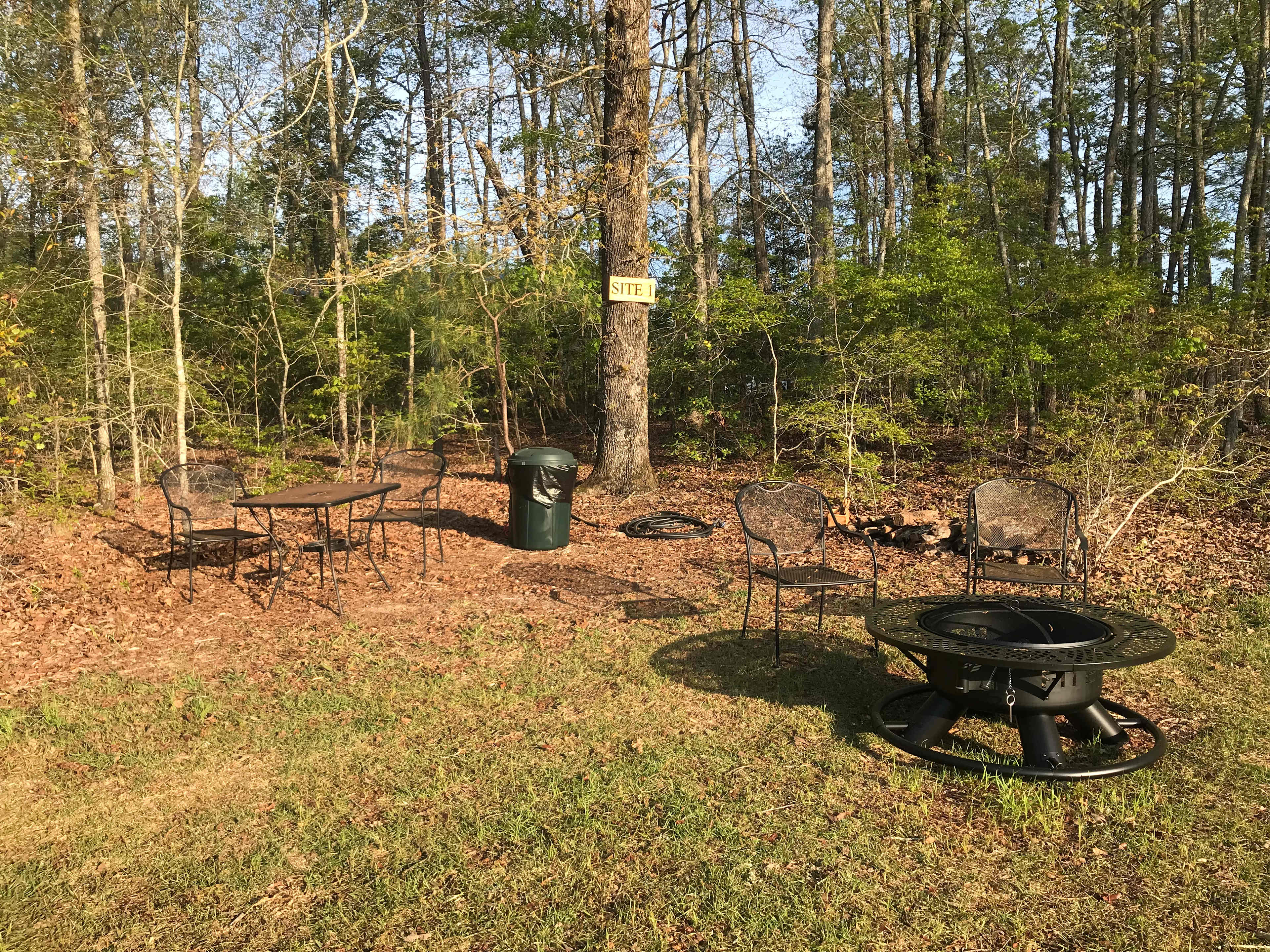Picture of the site