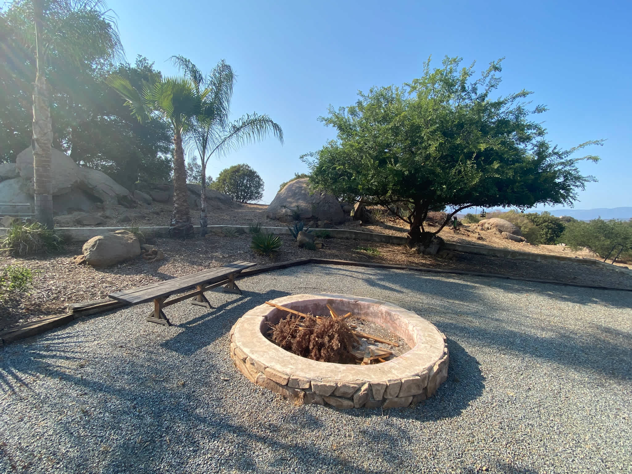 Picture of the site