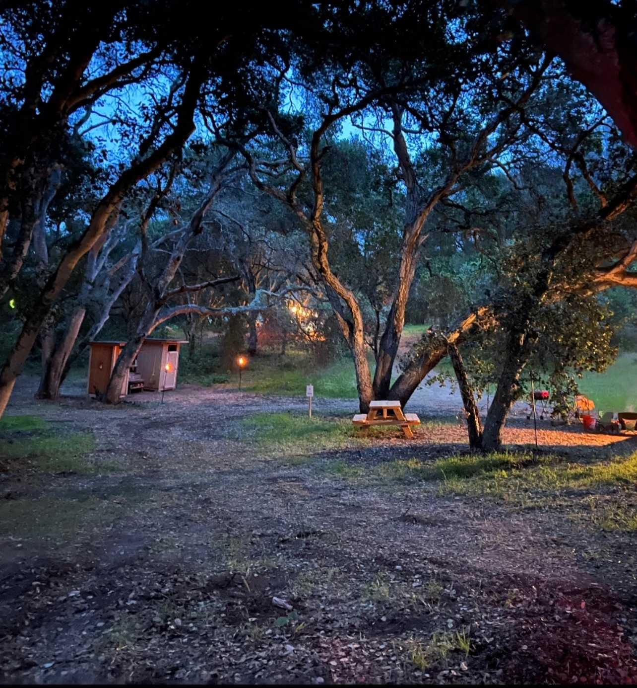 An evening view of our outhouses and the left side of Site 2.