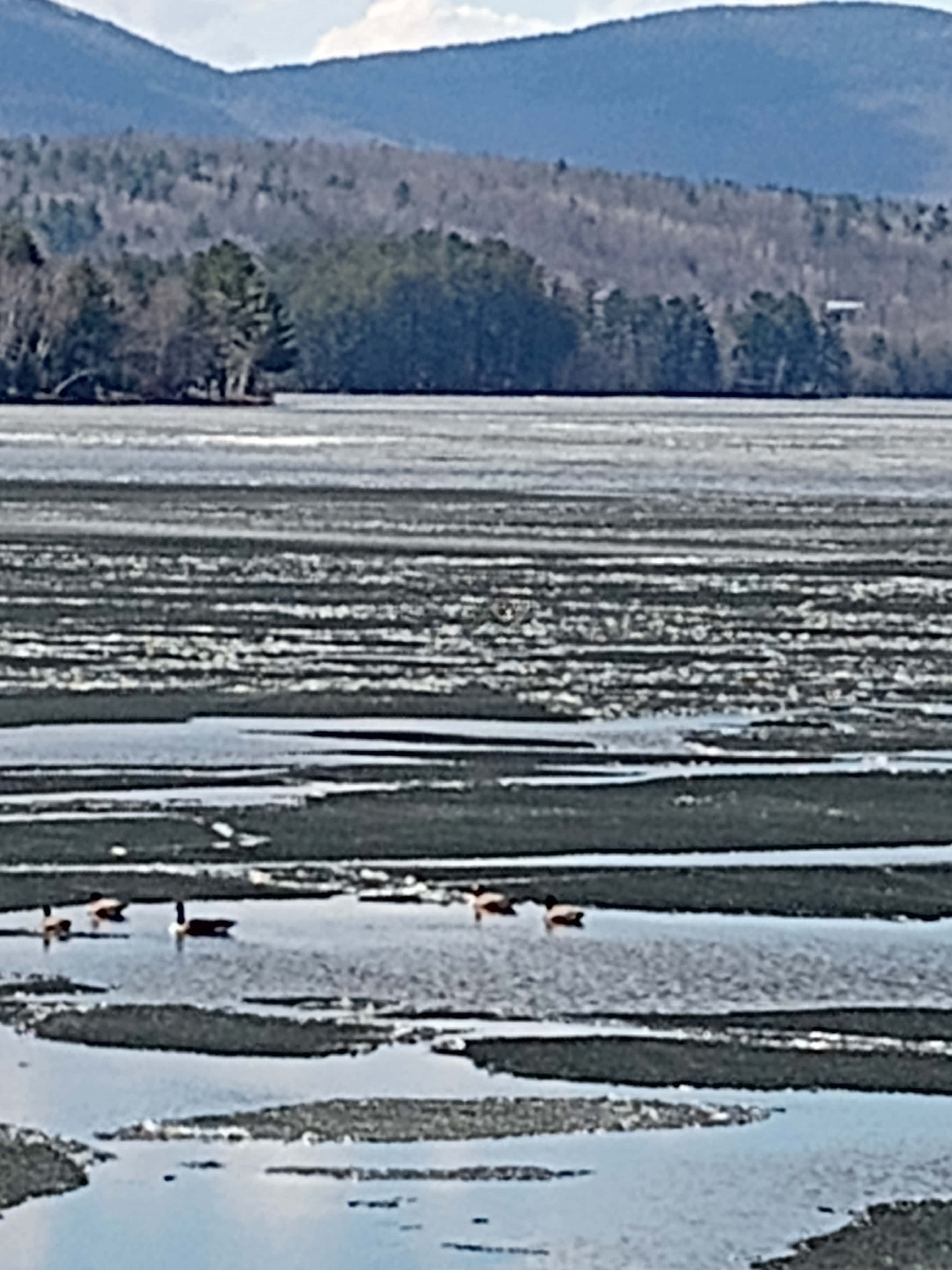 Wilson lake campground