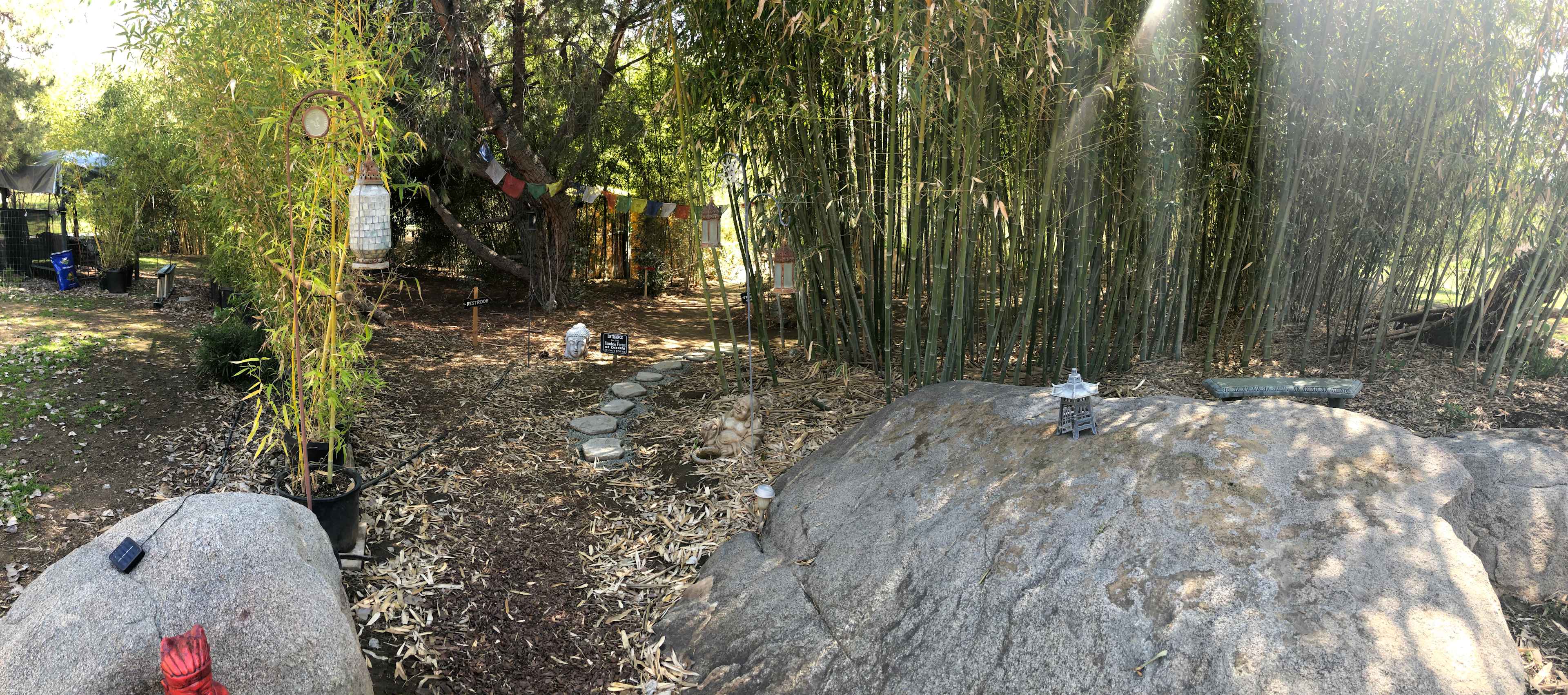 Grove entrance from the west, restroom left background