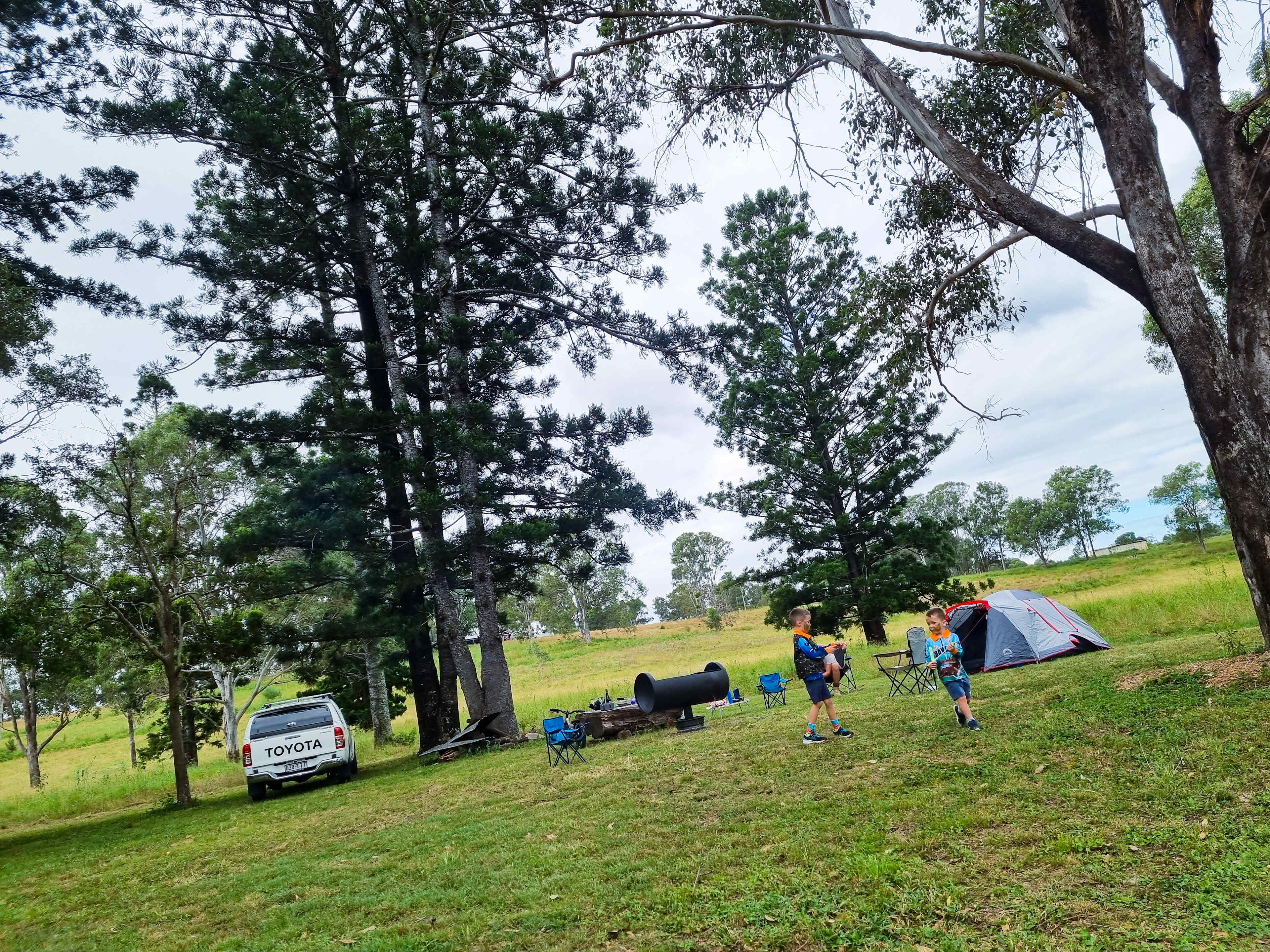 'The Pines'