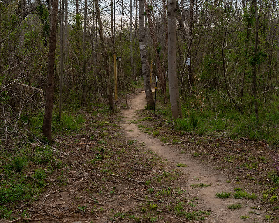 West Preserve