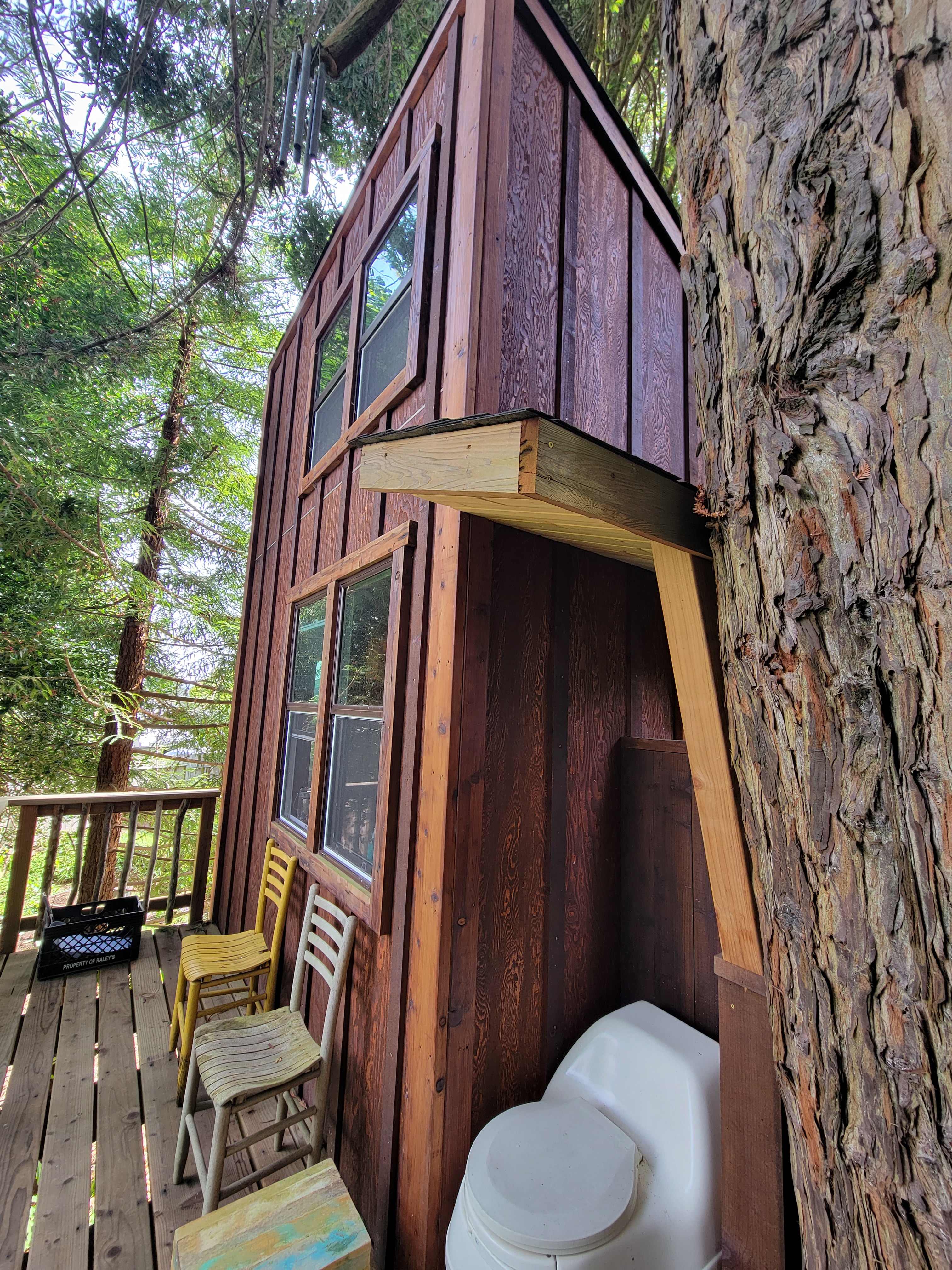 13th St Tree House