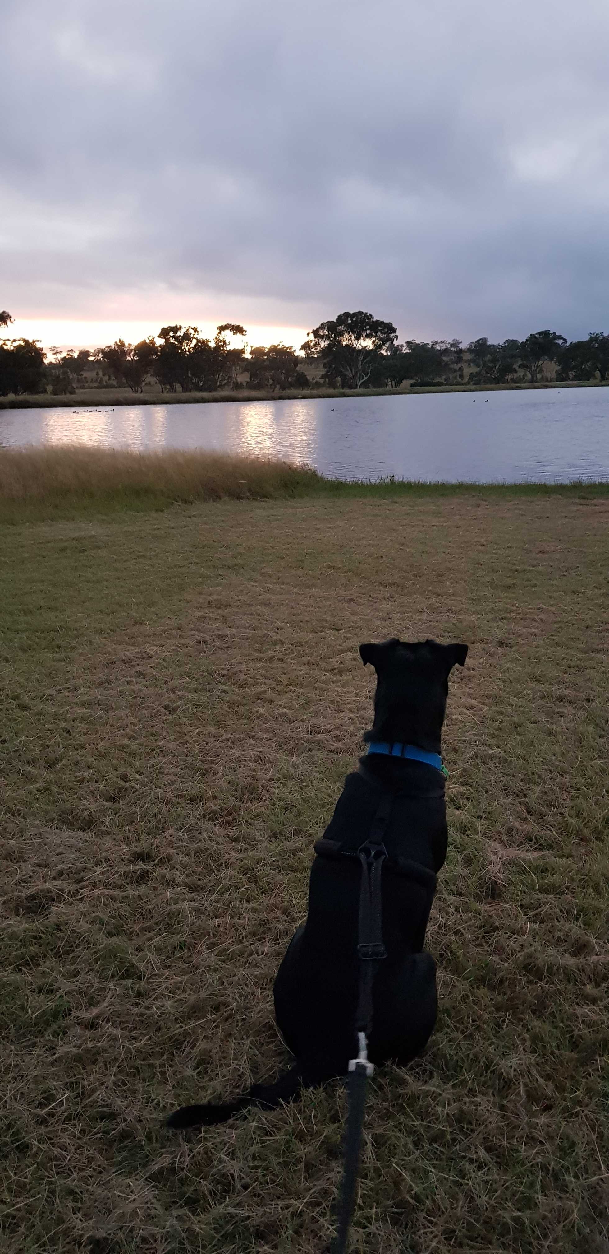 Carrington,  Views, Water and Space