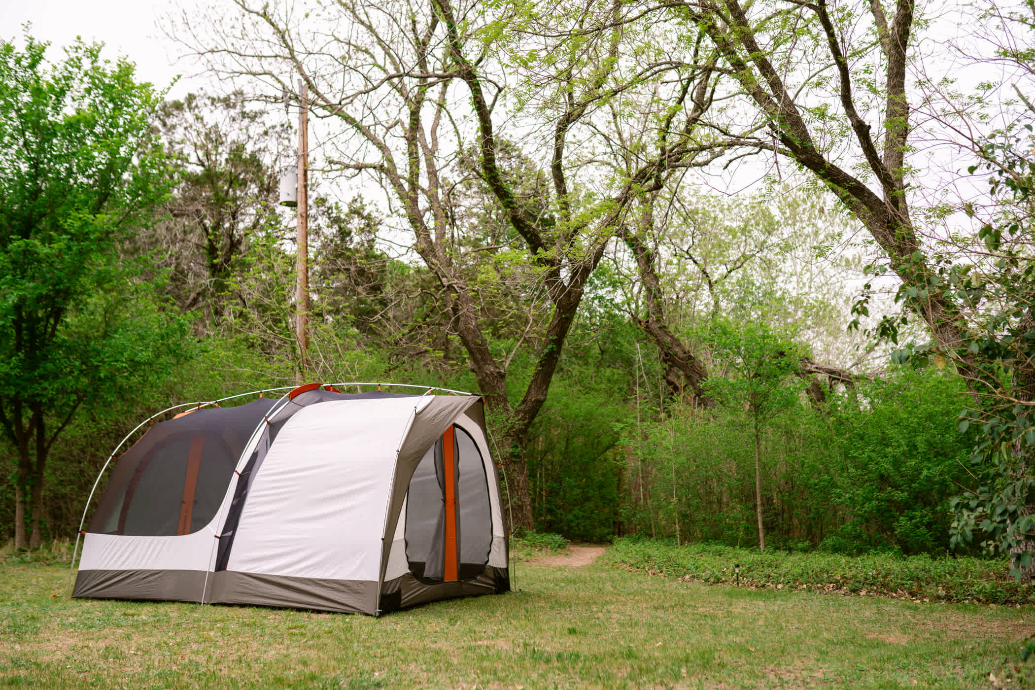 We set up our tent to face the creek, and had super easy access to the bamboo trails.