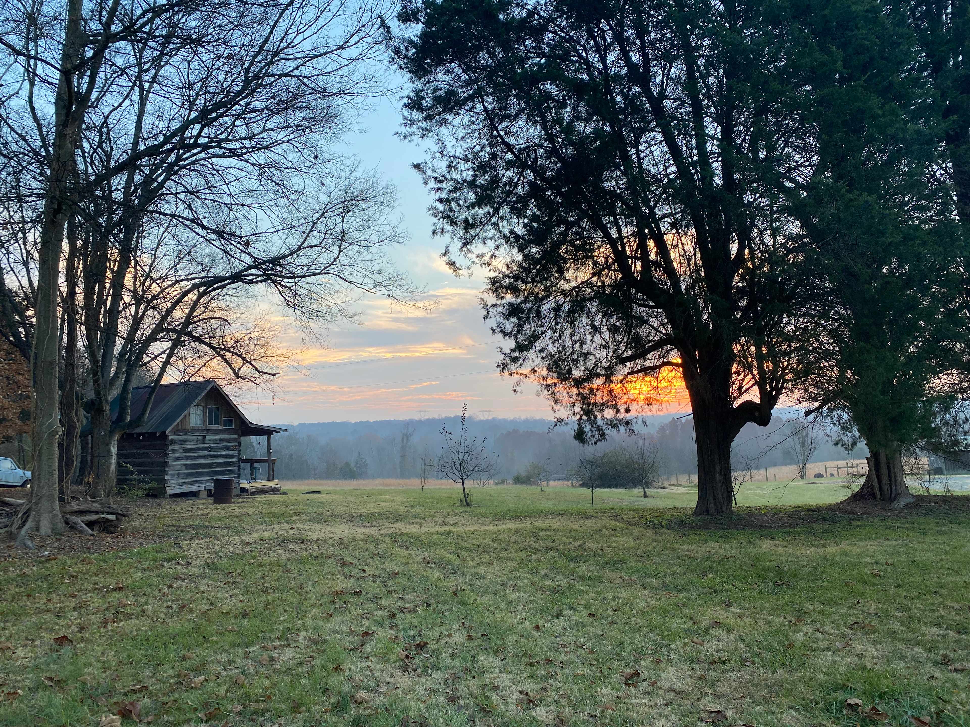 Misty morning on the farm