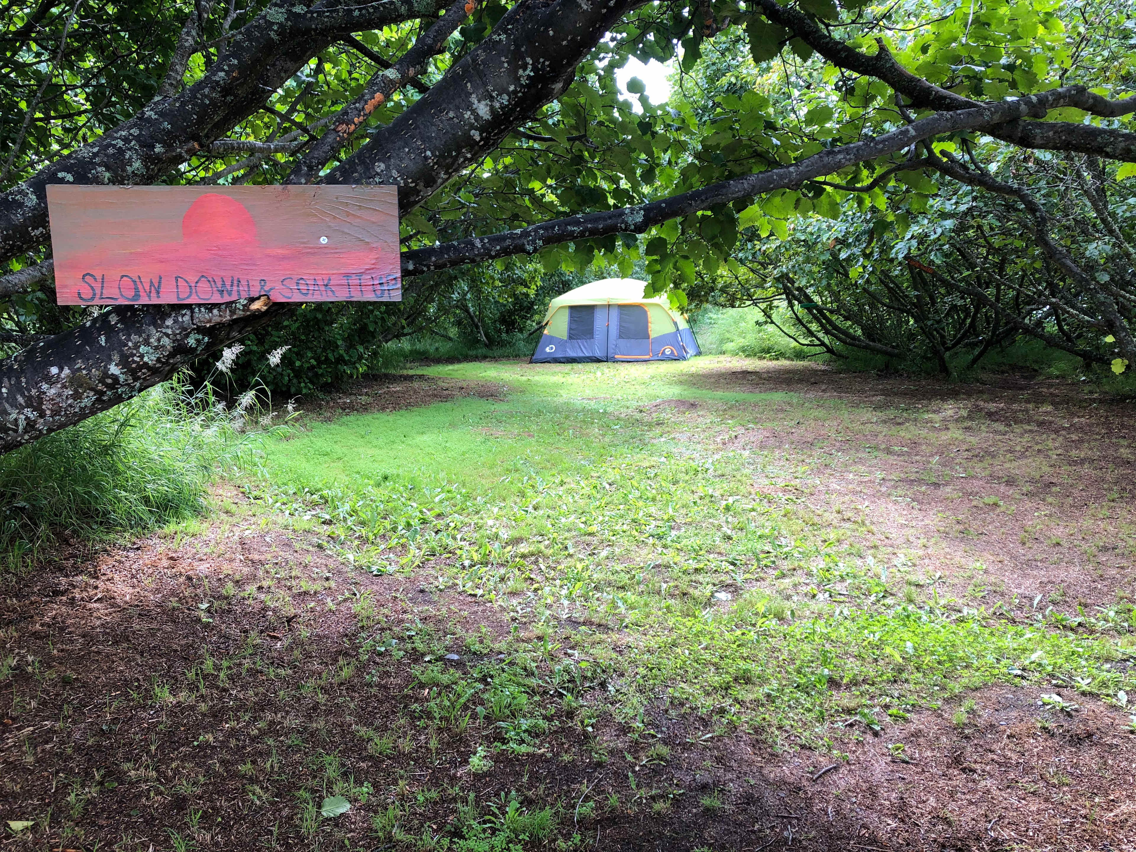 Picture of the site