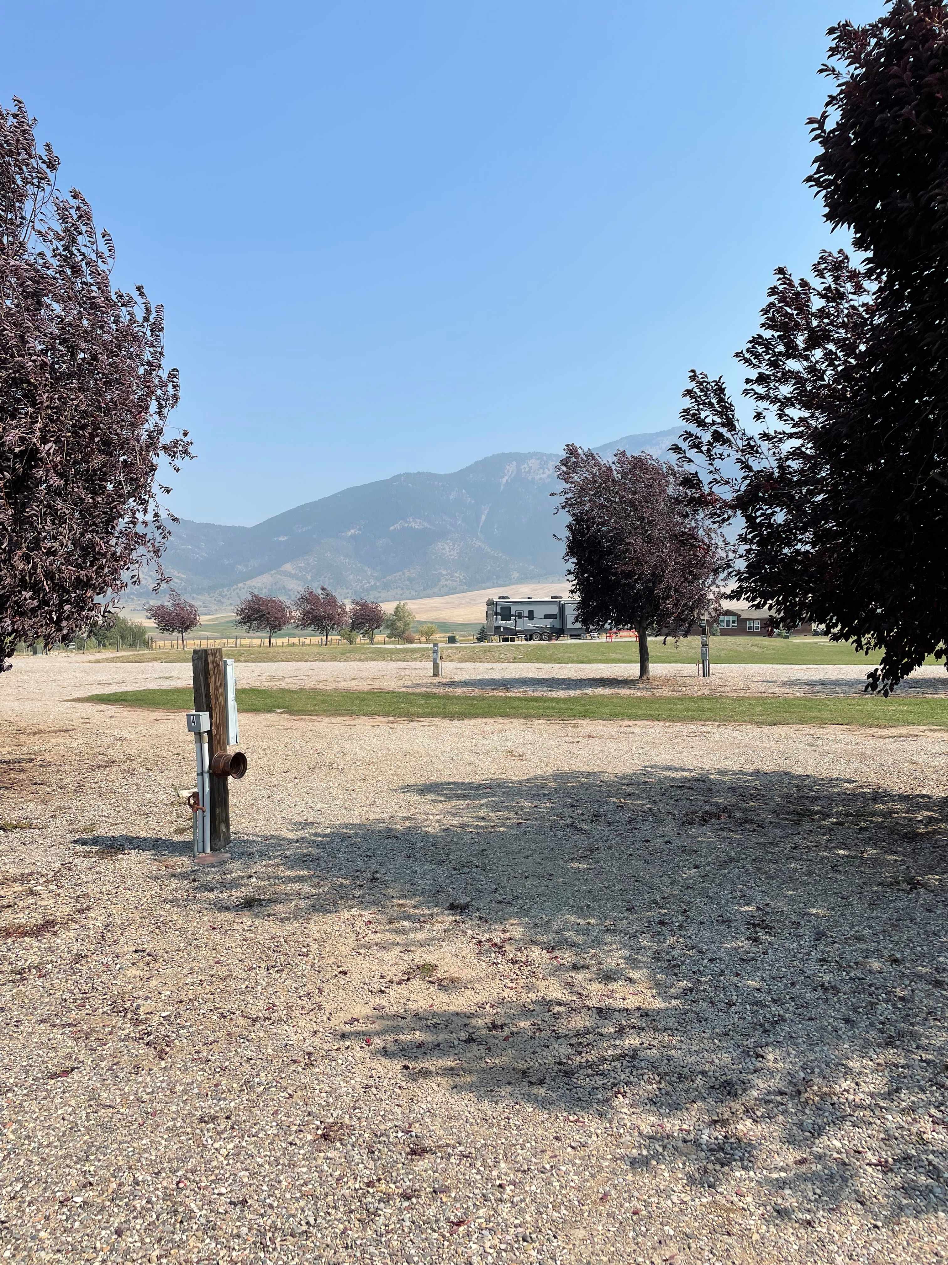 Picture of the site