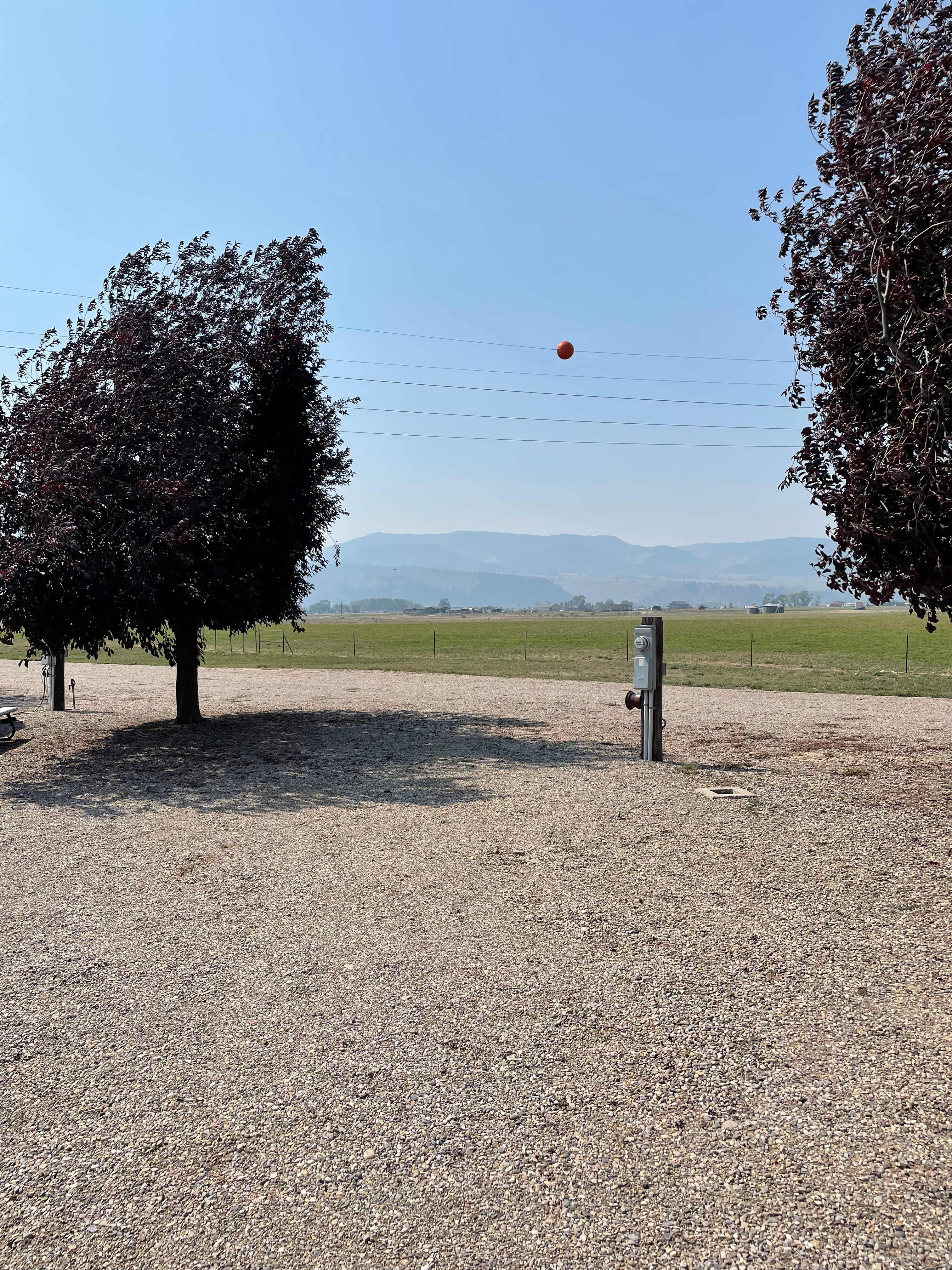 Picture of the site