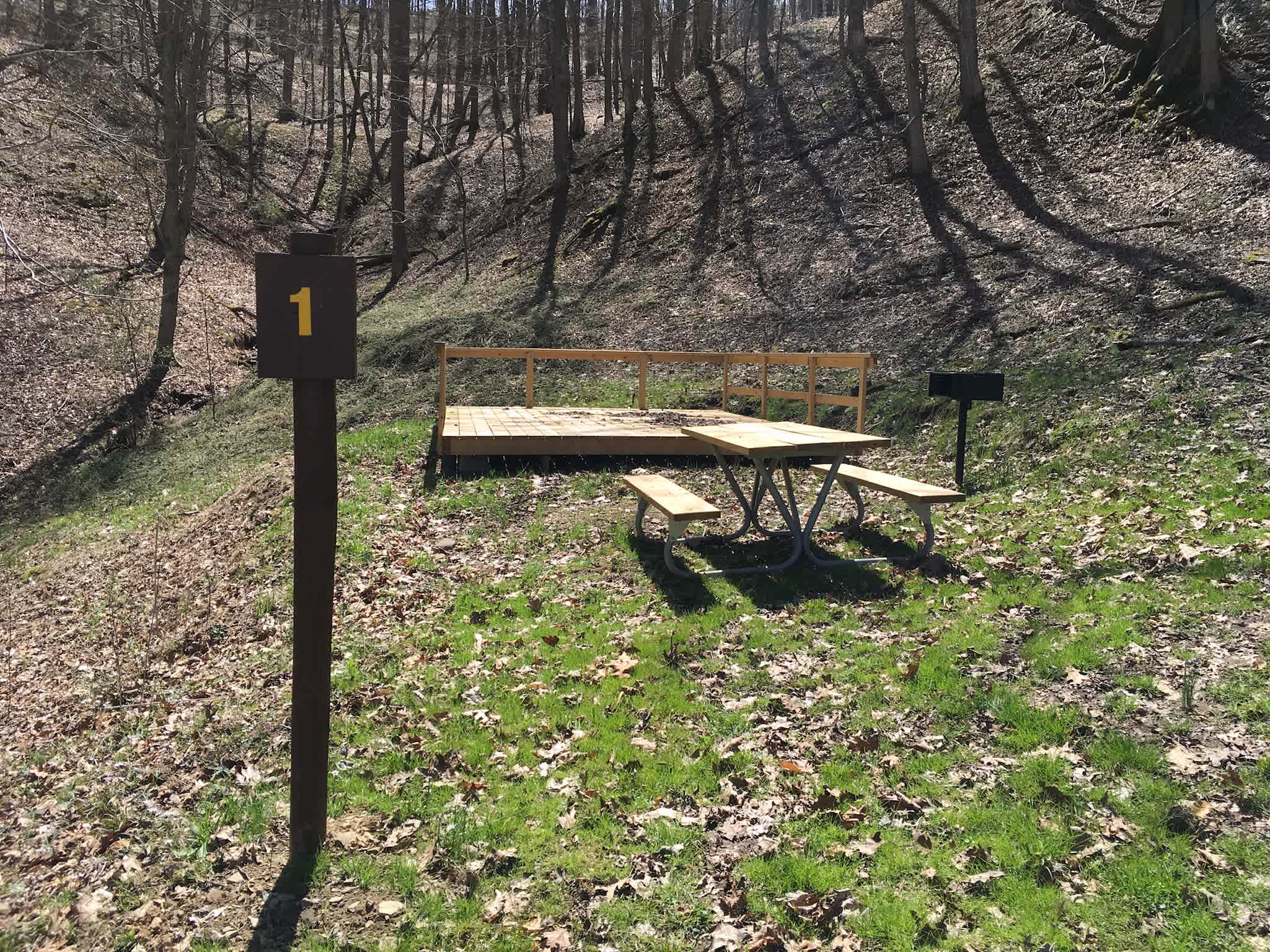 Picture of the site