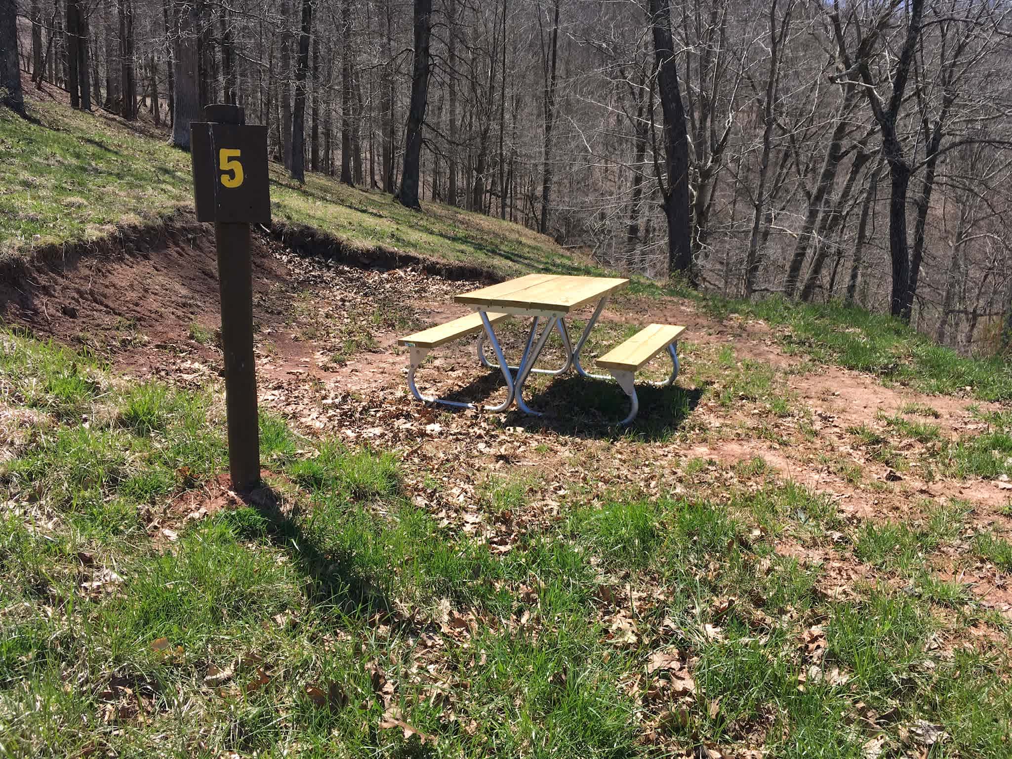 Picture of the site