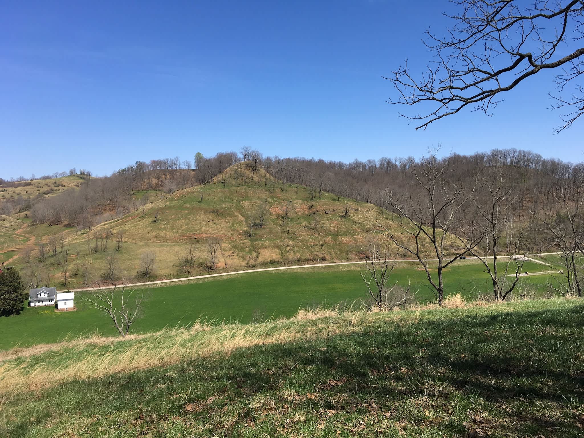 Picture of the site