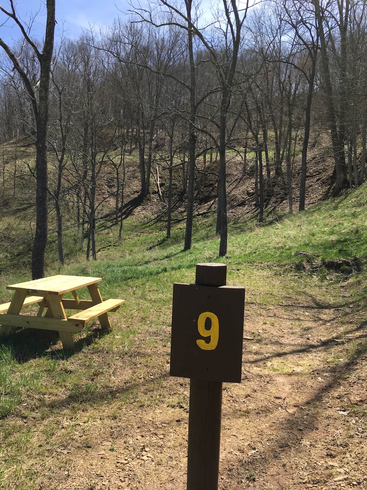 Picture of the site