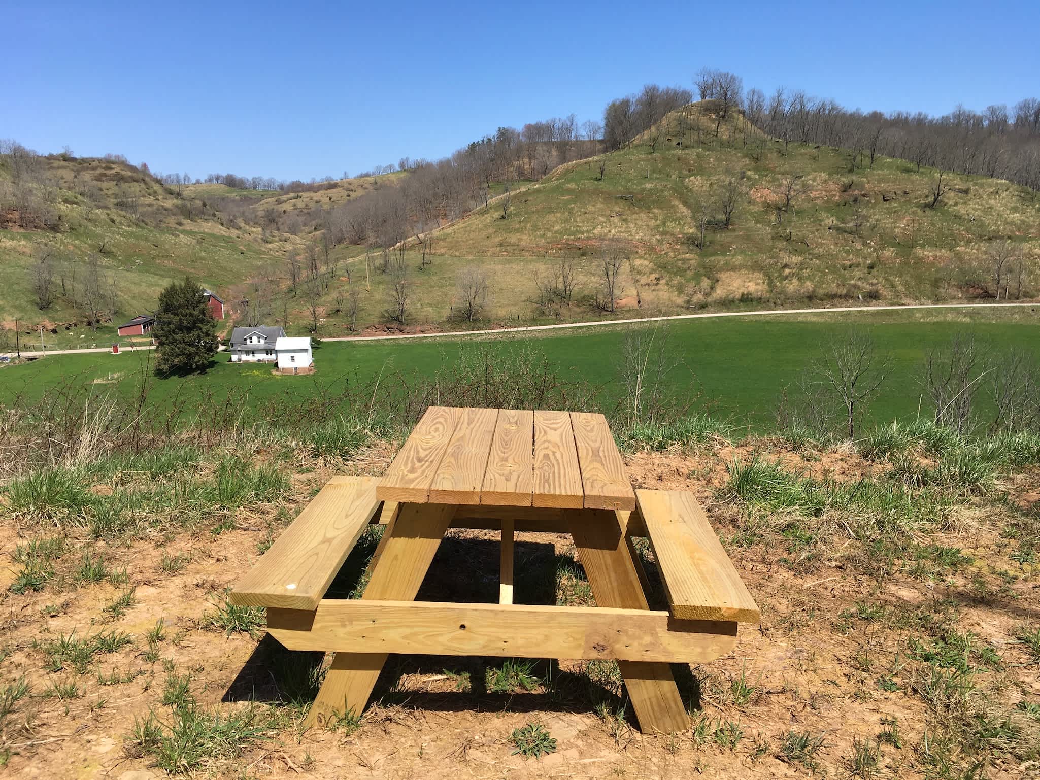 Picture of the site
