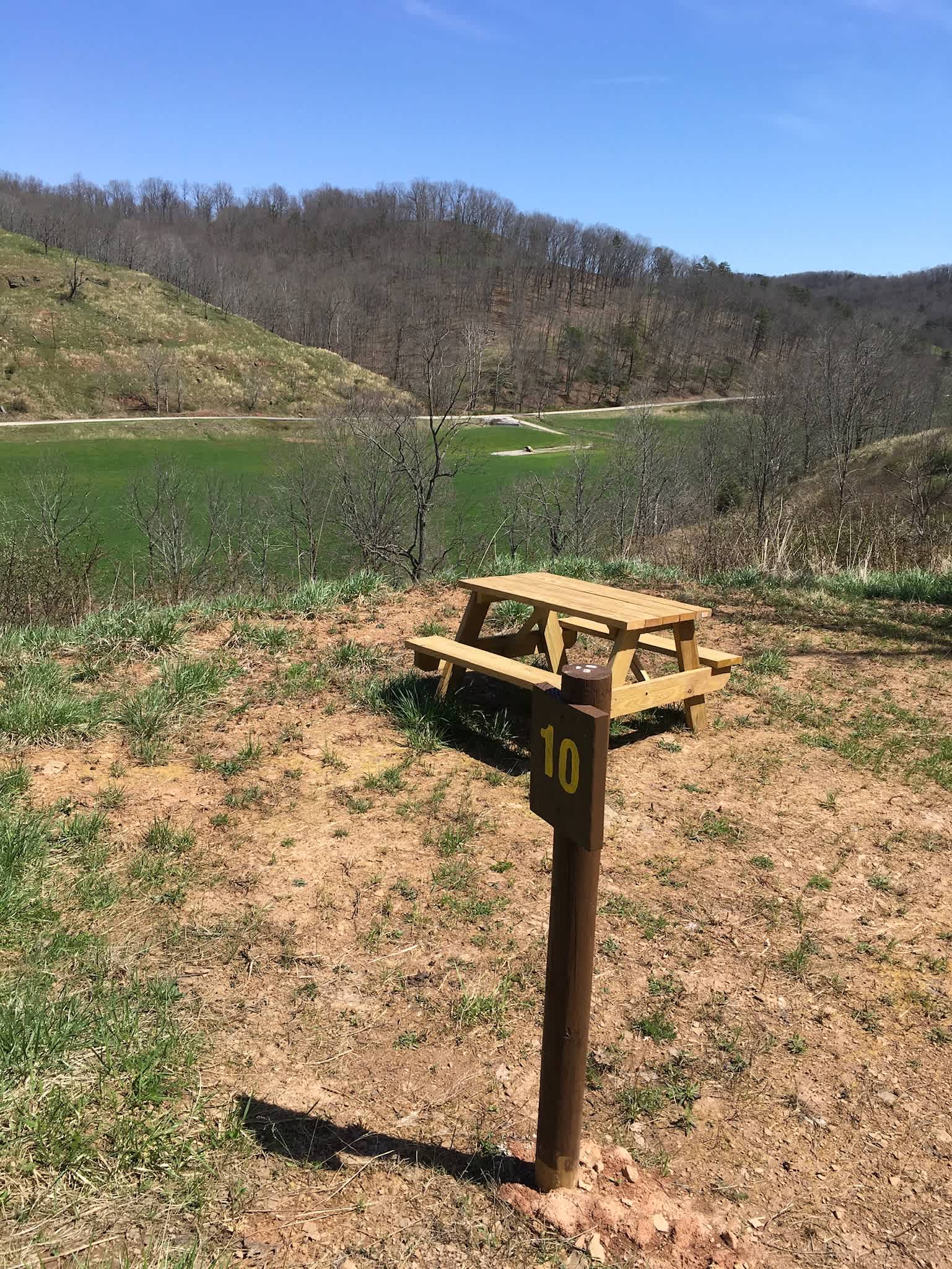 Picture of the site