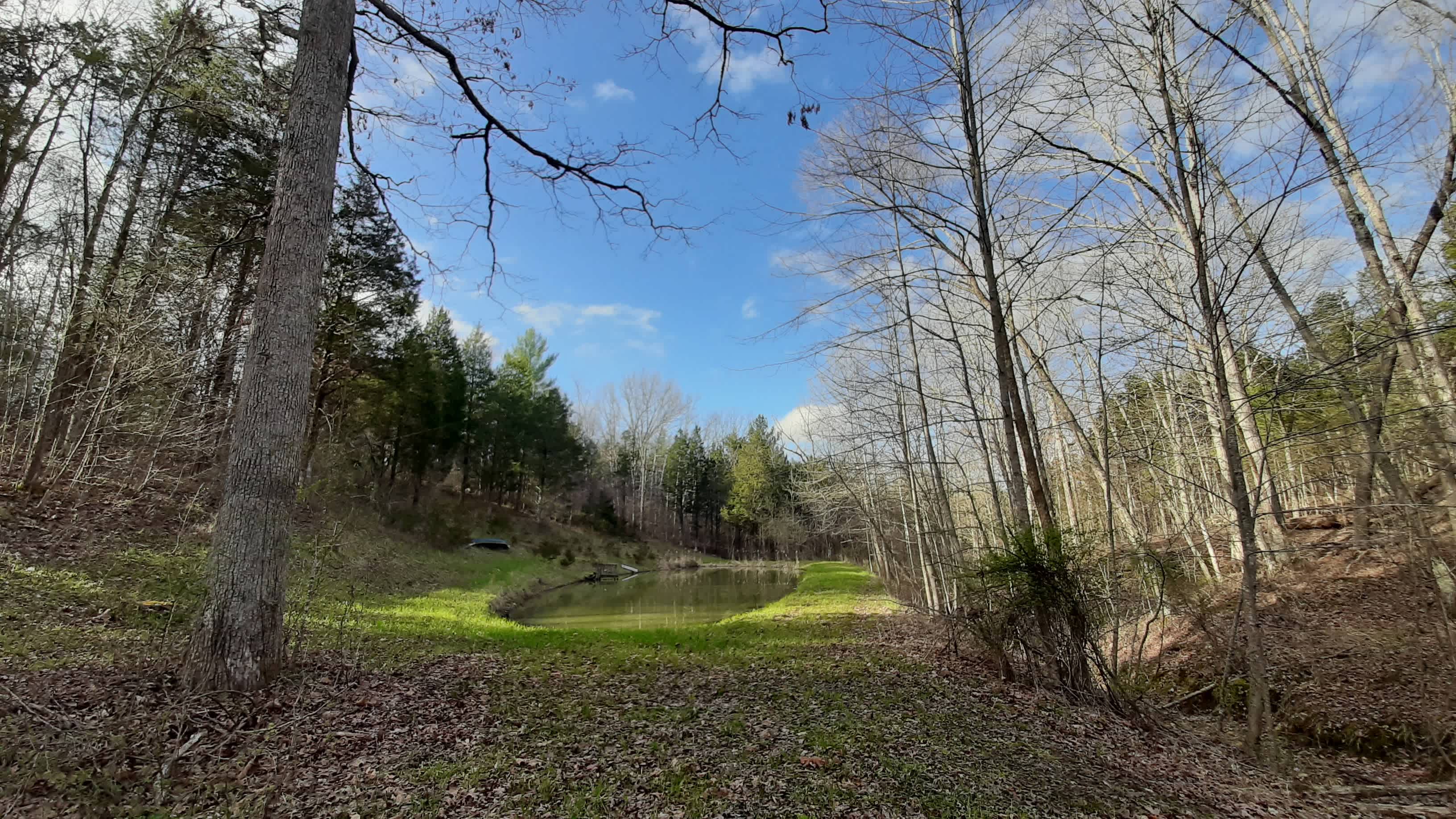 Bear Pond