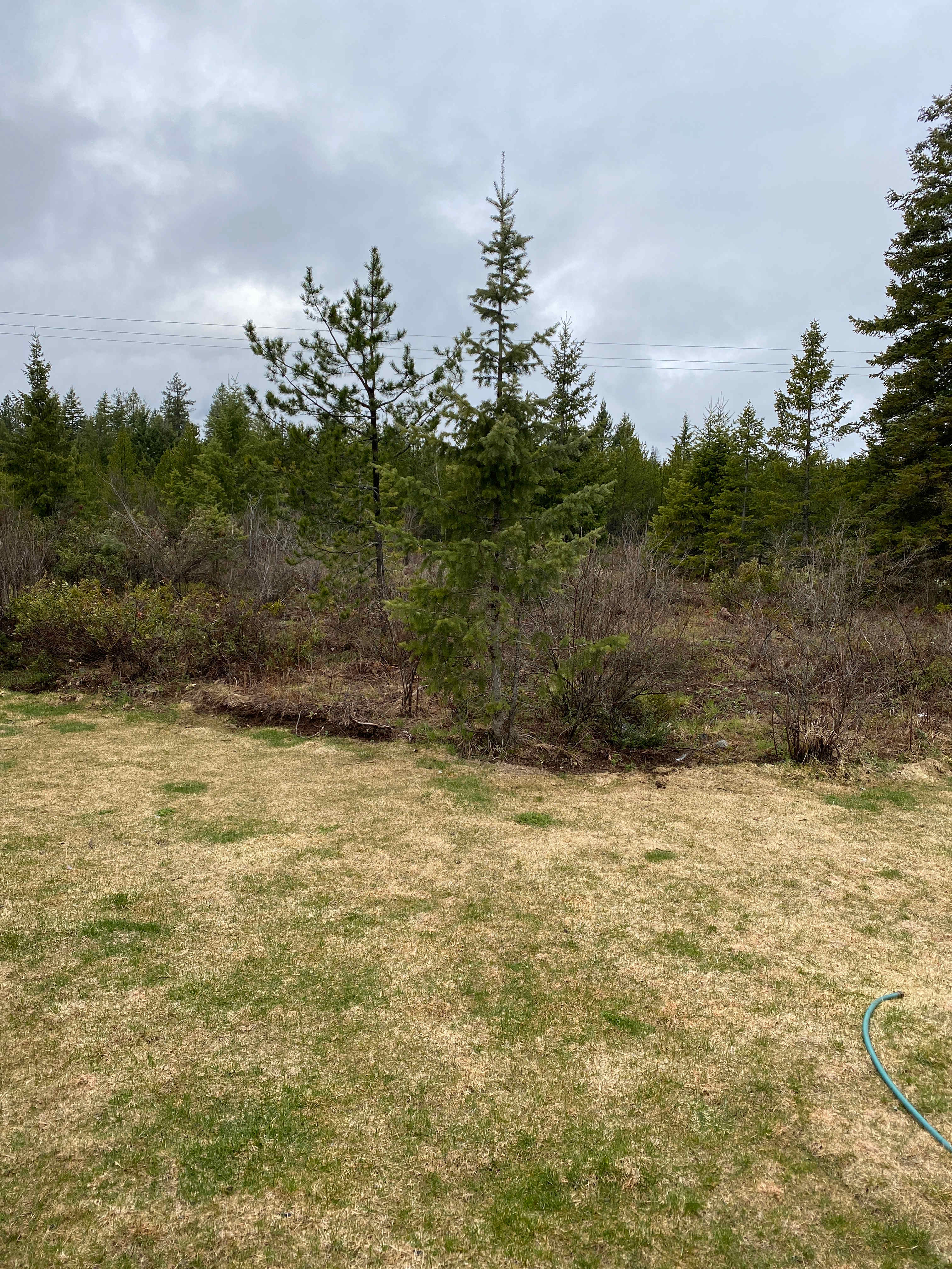 Rebecca R.’s Land