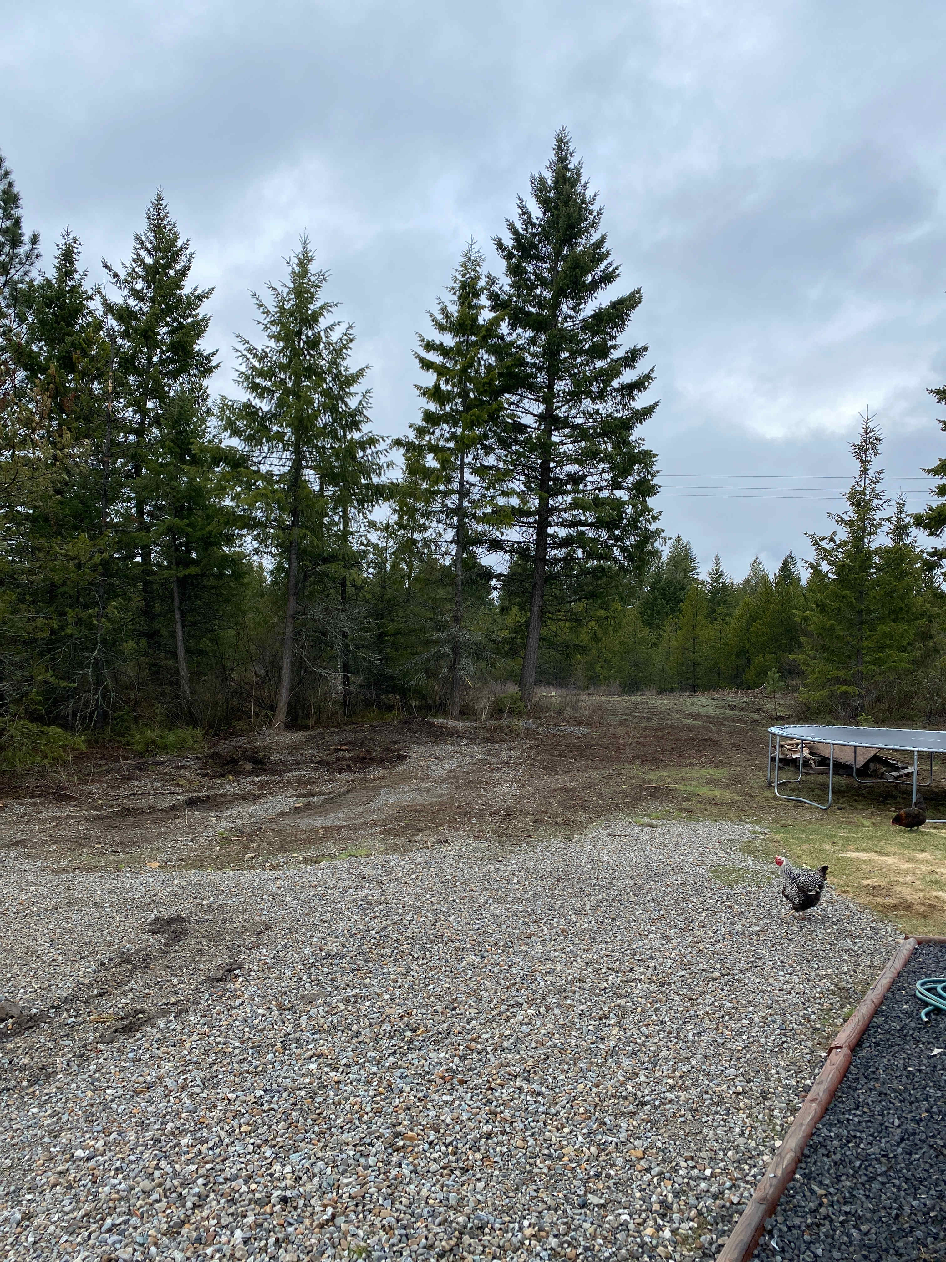 Rebecca R.’s Land