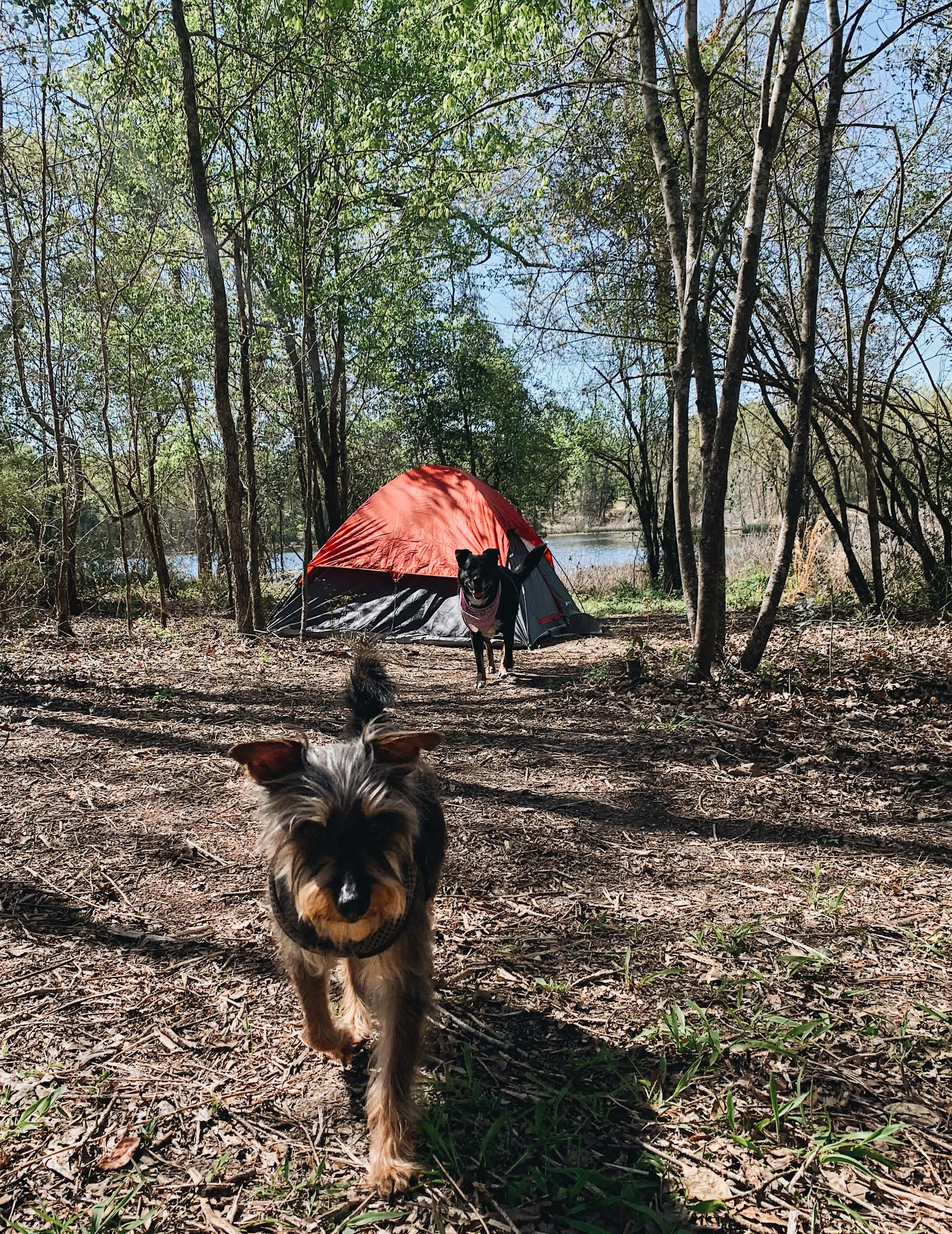 Wayne’s Land