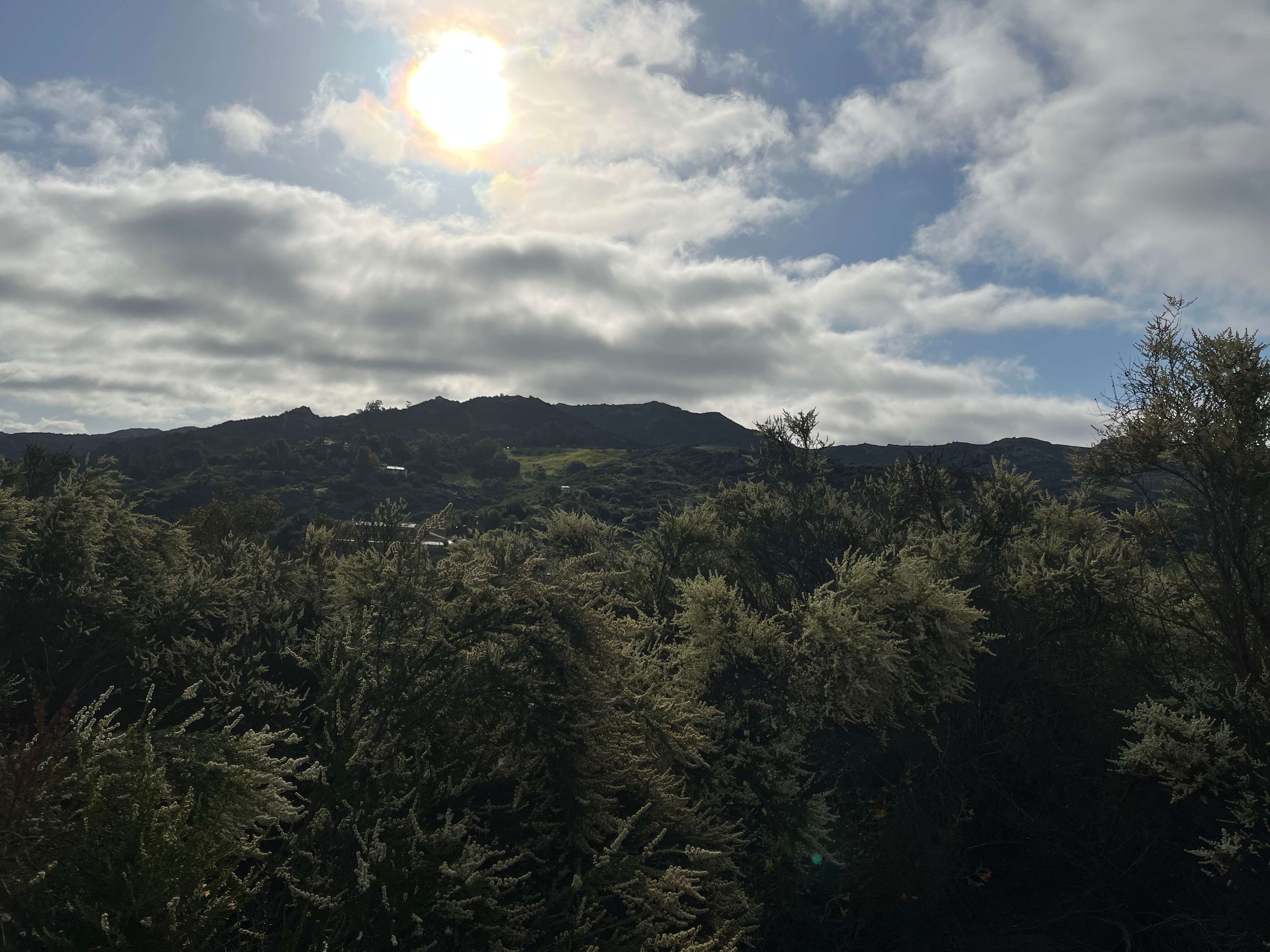 Tentsite Over Topanga