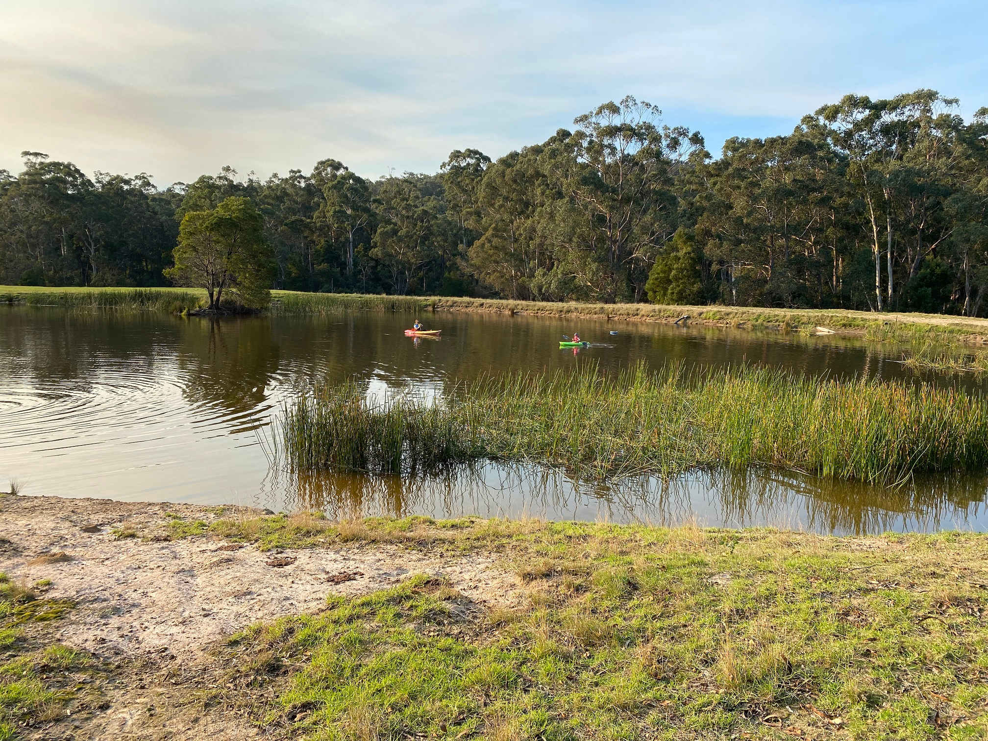 Picture of the site