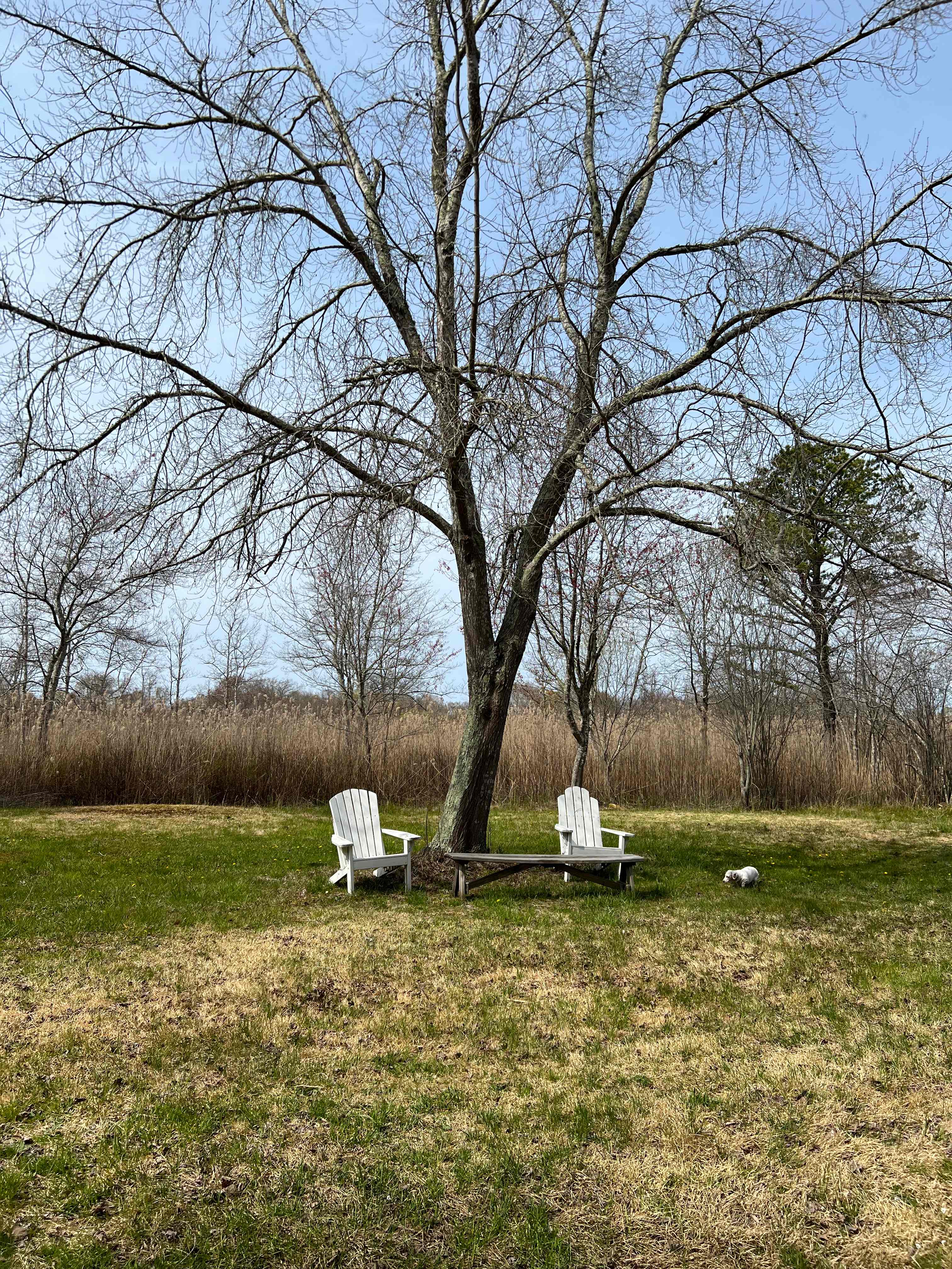 Some chairs at some of the site