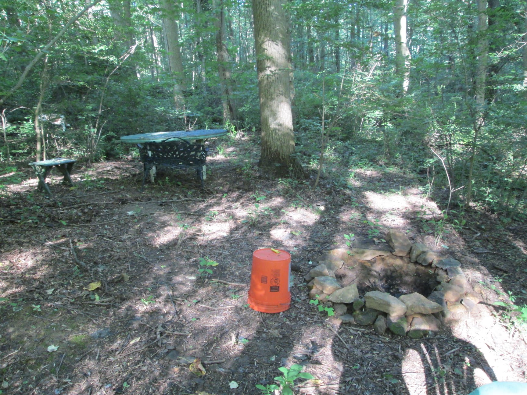 Picture of the site