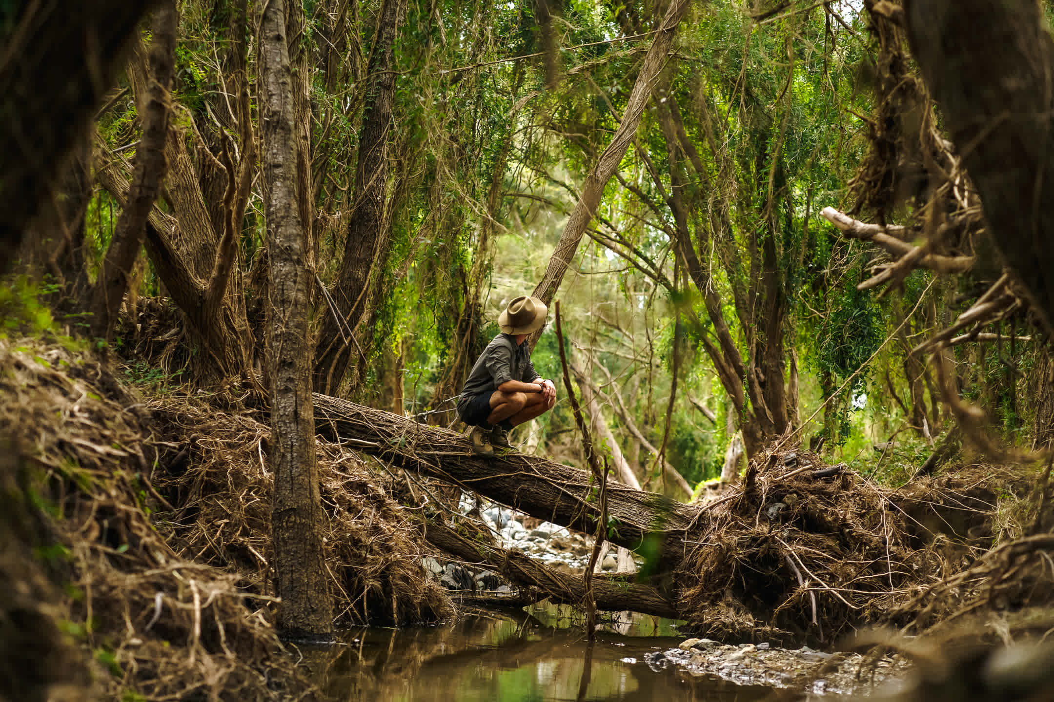 My favourite spot on the property. A beautiful little grove by the banks of the creek/river! 
Instagram: @jarodimaged