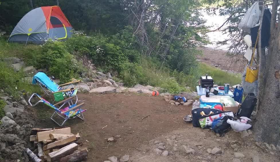 Picture of the site
