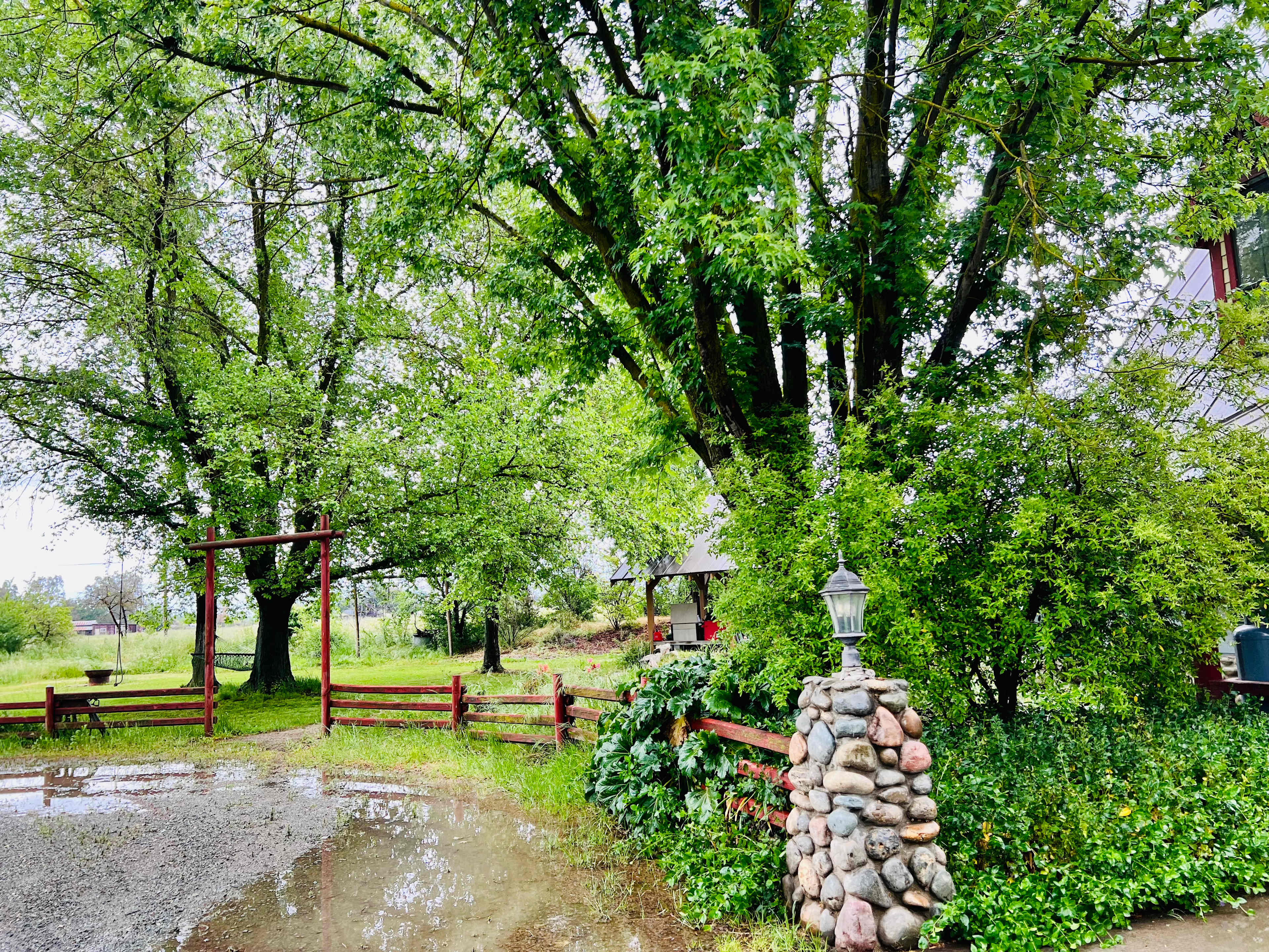 At the homestead 
