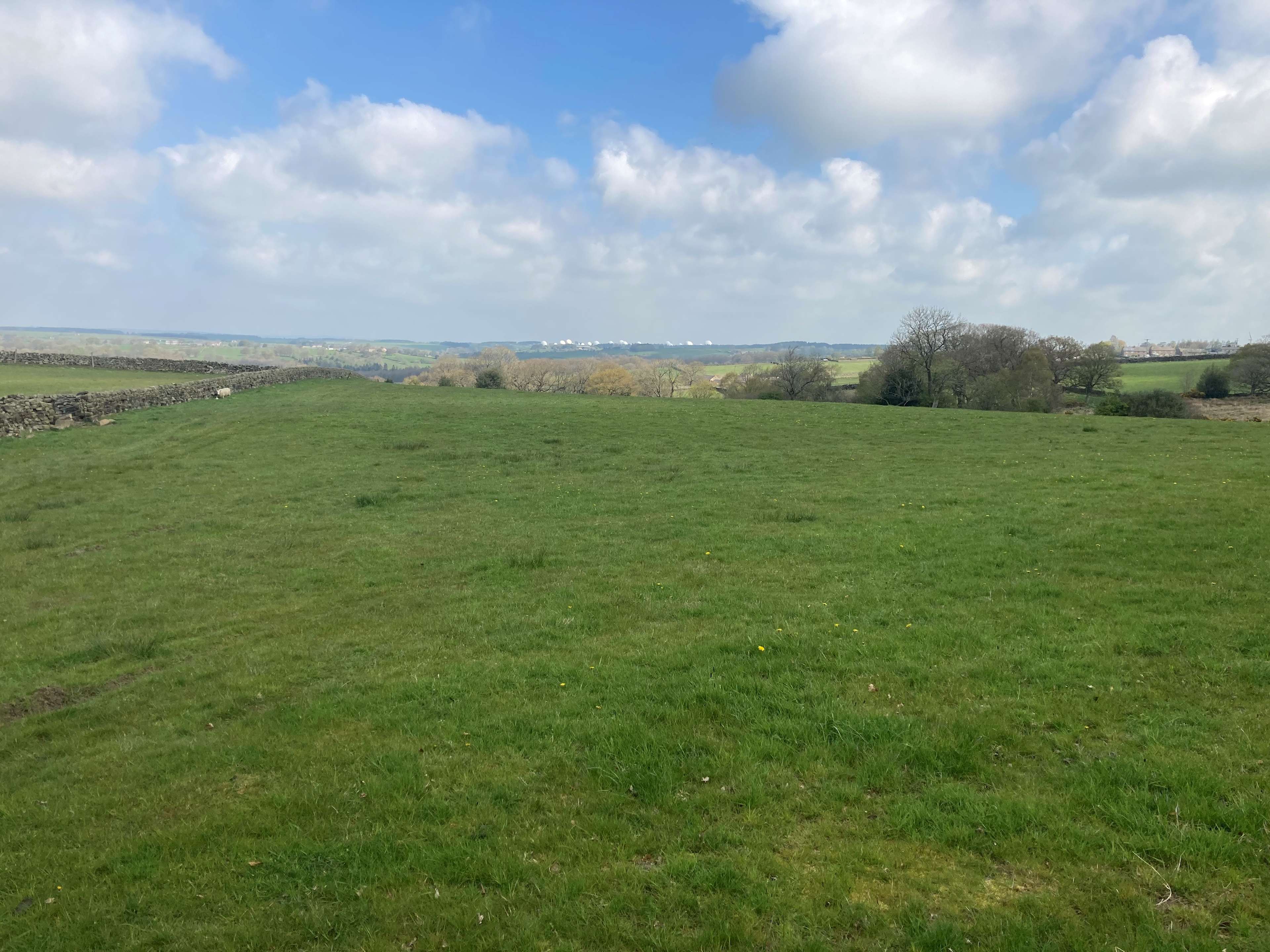 Scow Hall Farm