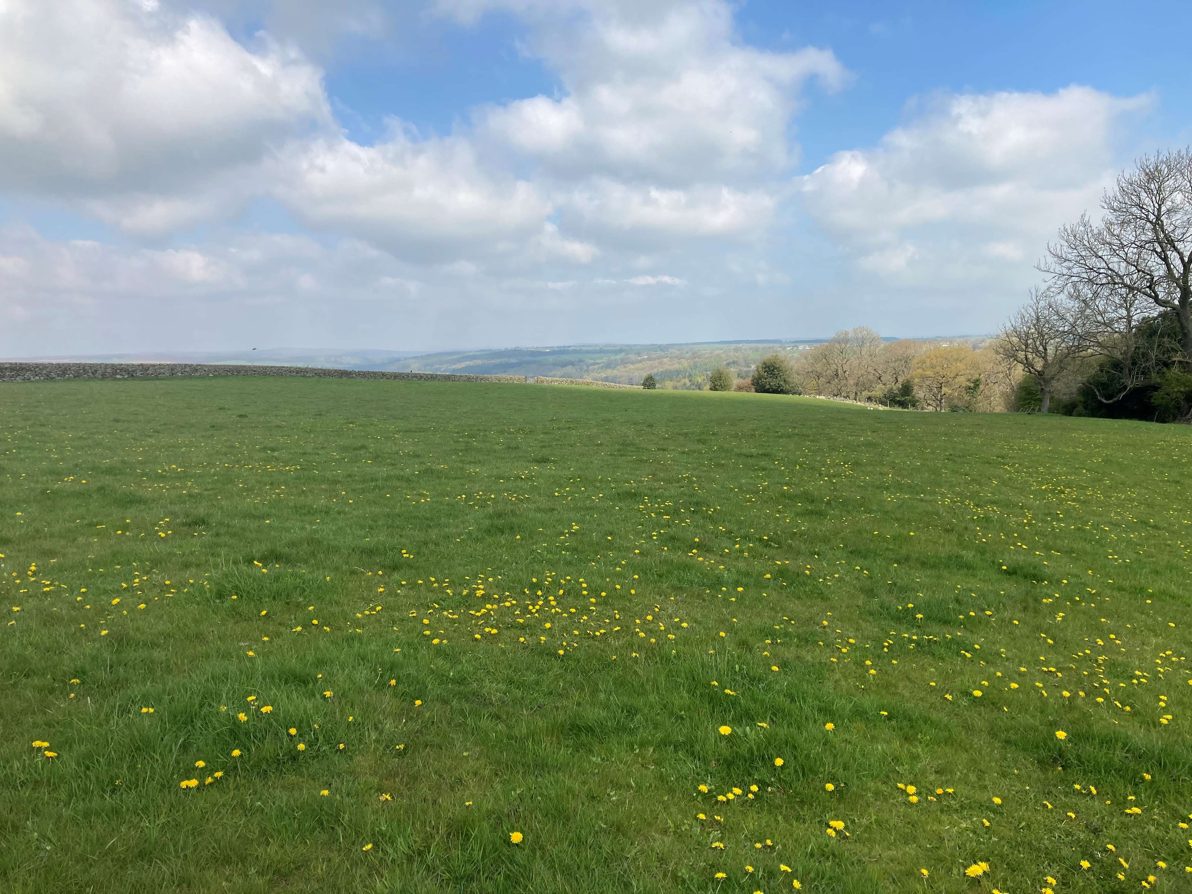Scow Hall Farm