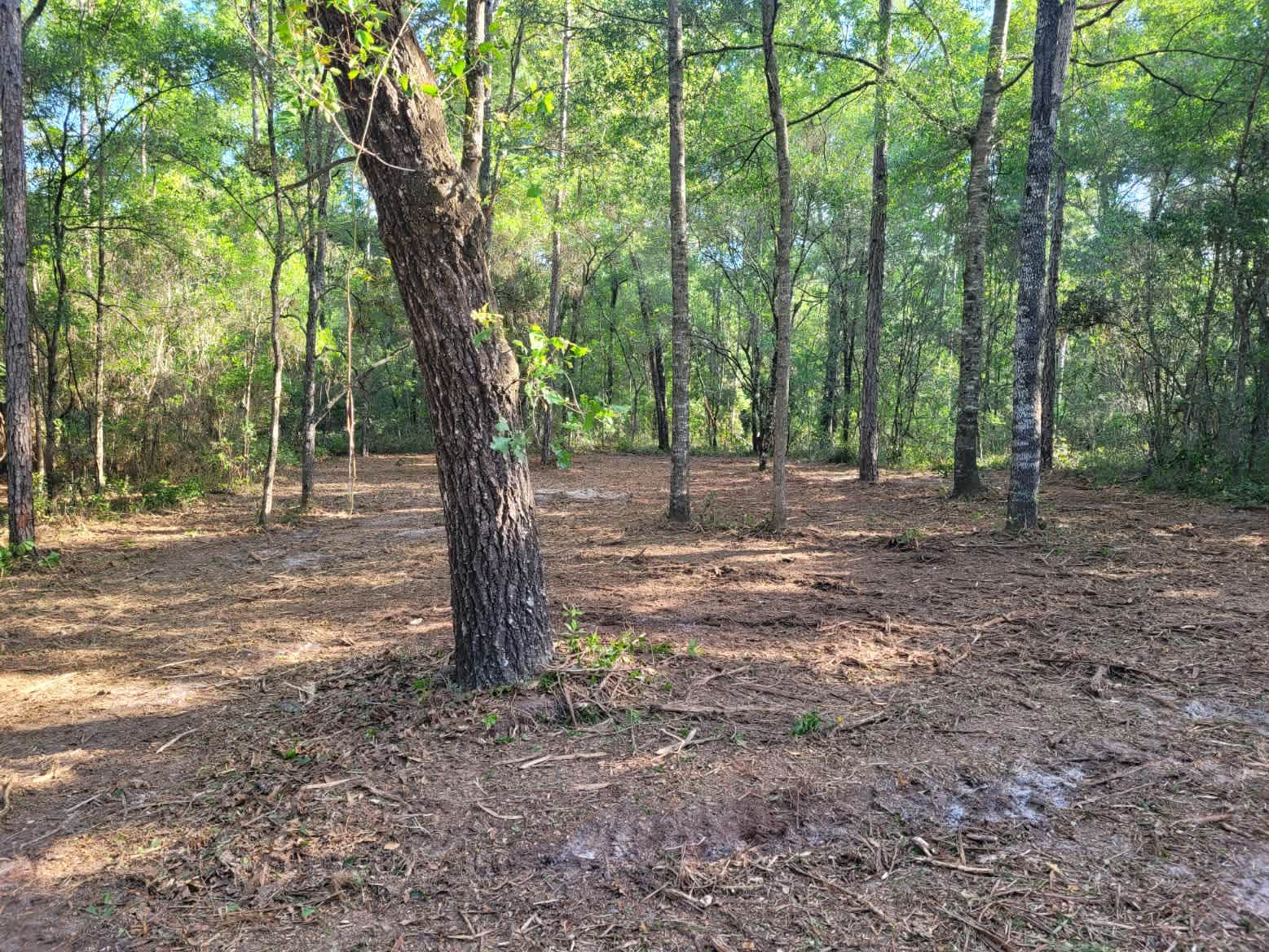 Omar B.’s Land