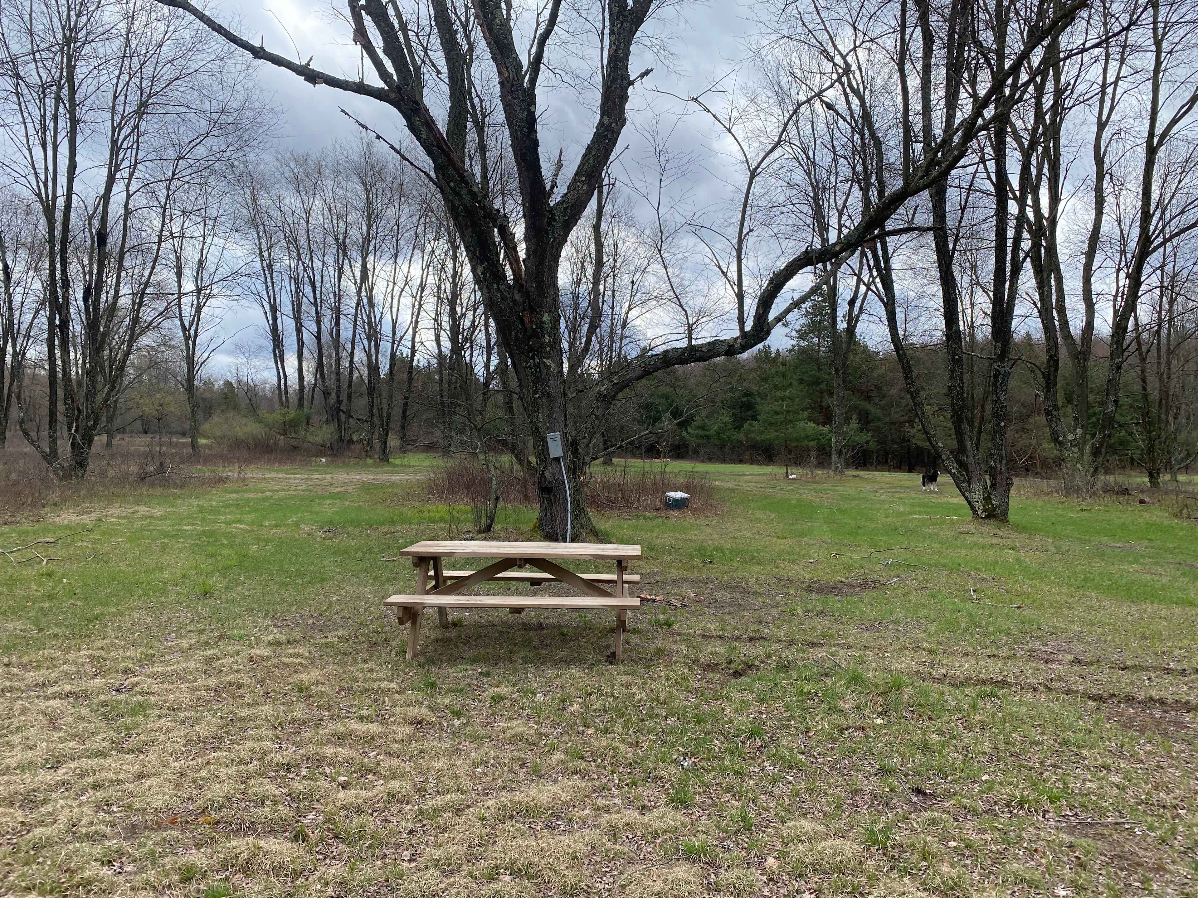 Secluded Campsites