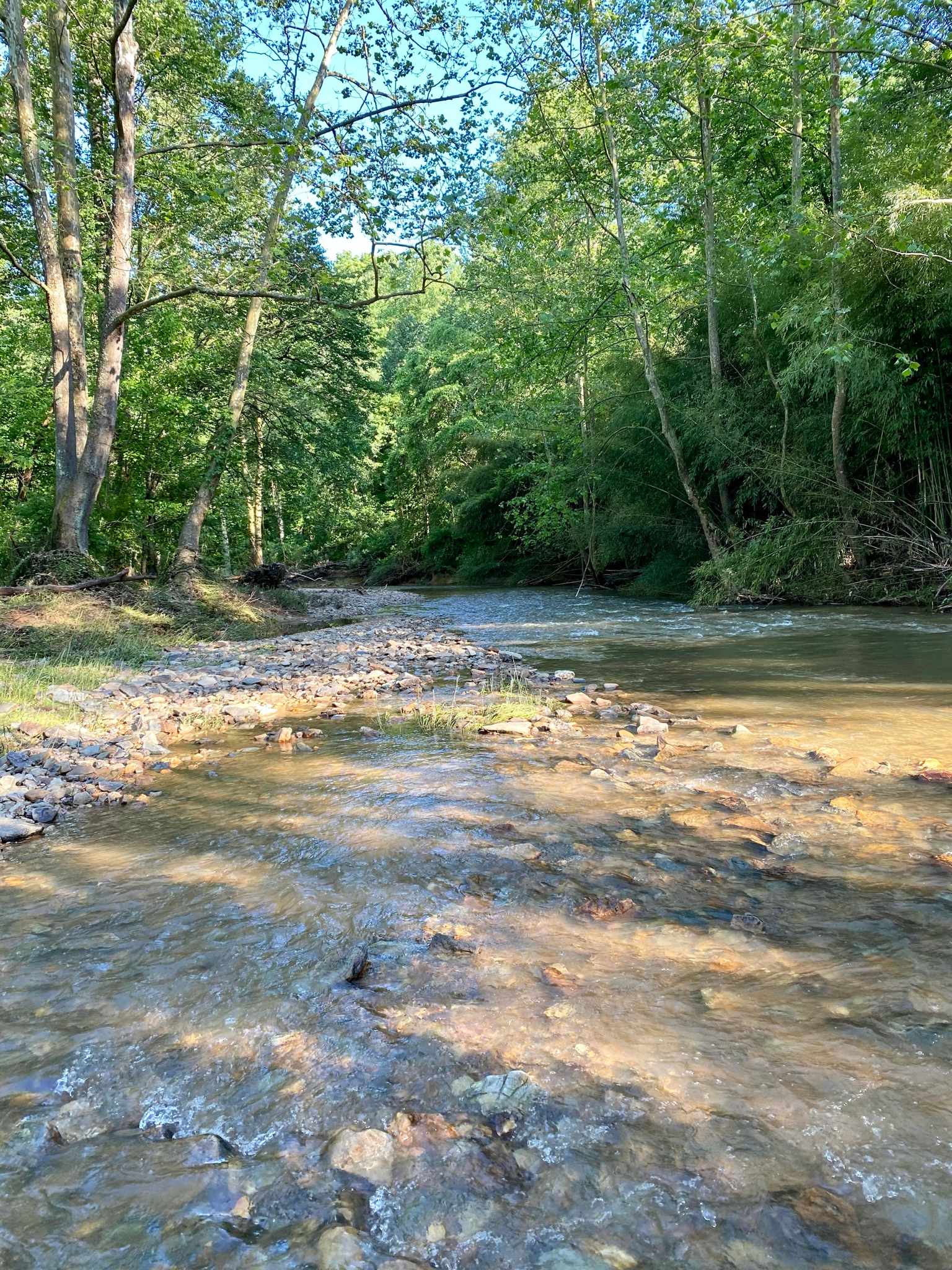 Creekside Orchard