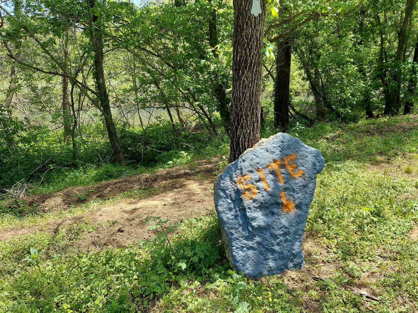 Picture of the site