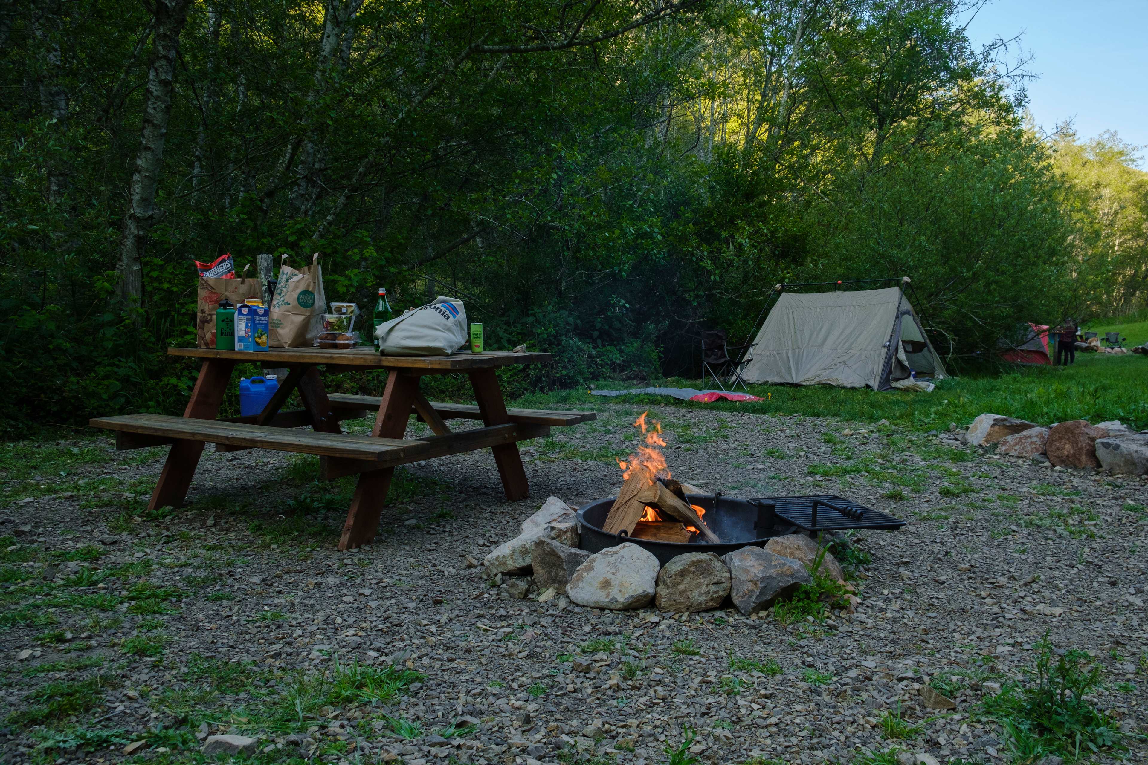 Fire Pit, with swing around grill